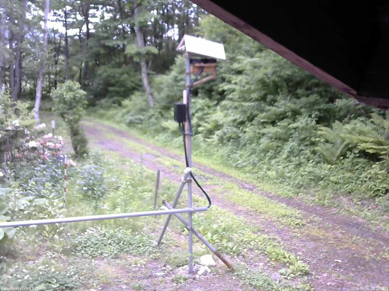 長野県菅平高原 ゆたか山荘 南側 2026/06/08 14:15
