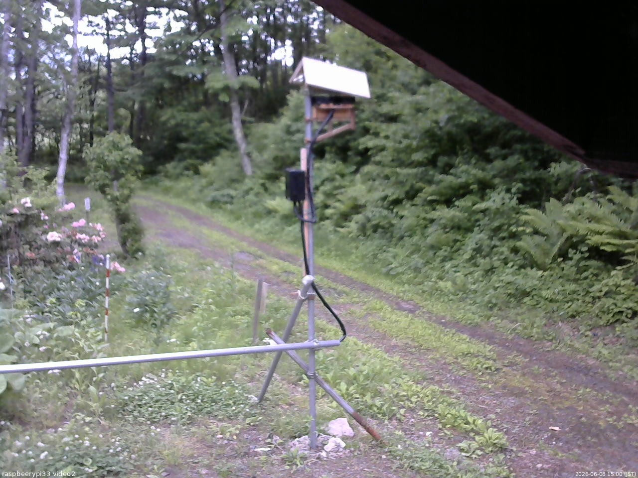 長野県菅平高原 ゆたか山荘 南側 2026/06/08 15:00