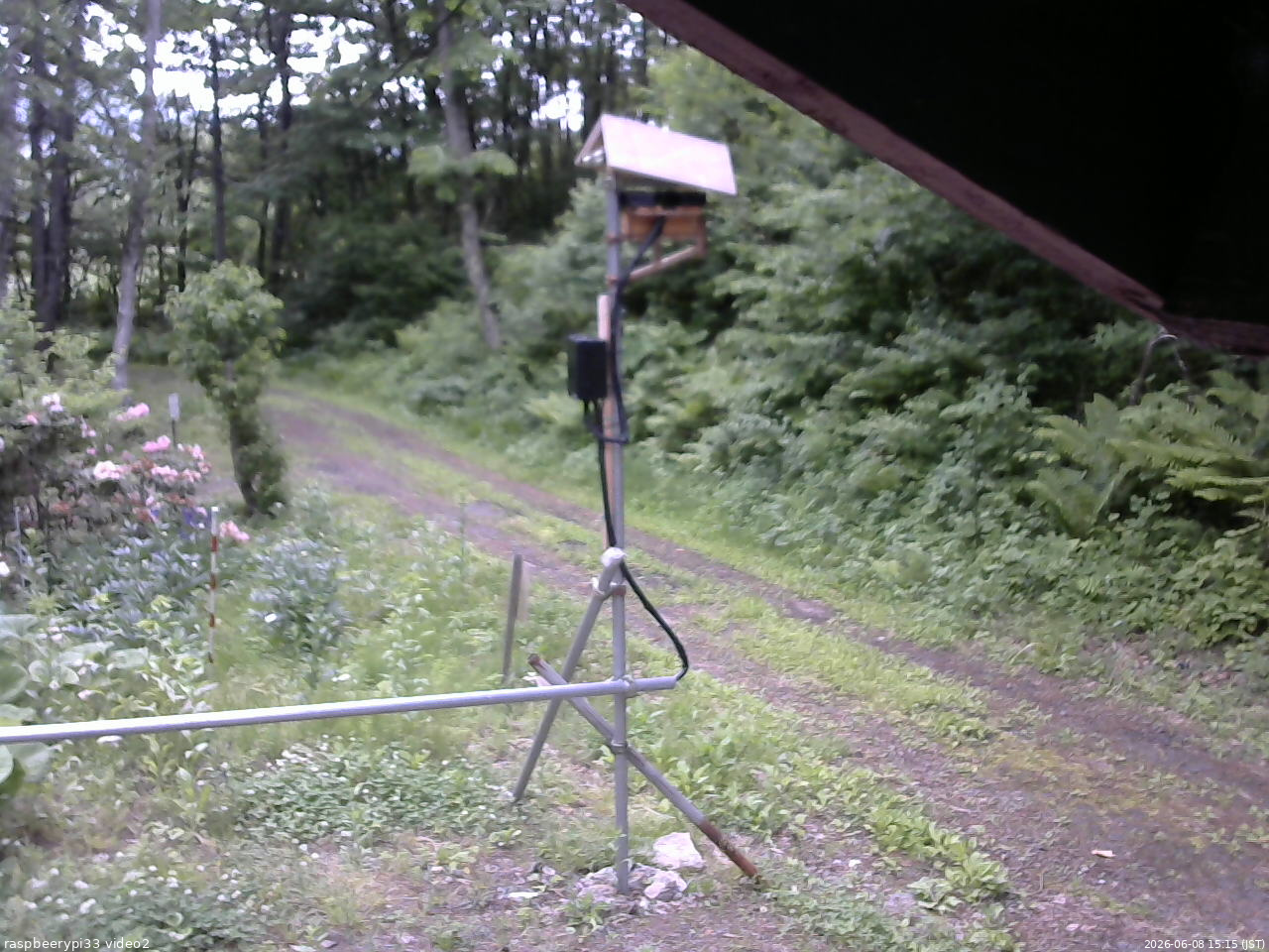 長野県菅平高原 ゆたか山荘 南側 2026/06/08 15:15