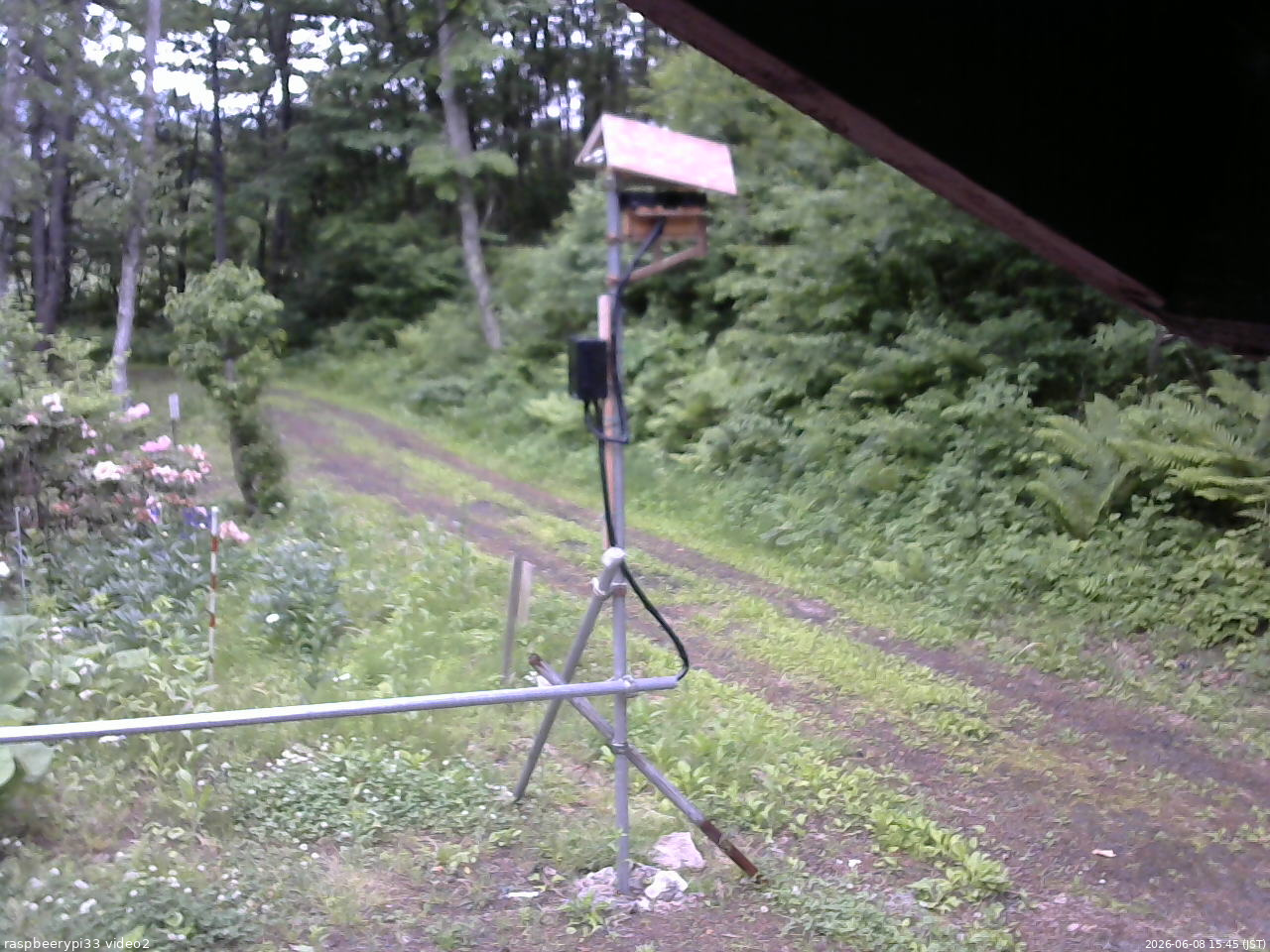 長野県菅平高原 ゆたか山荘 南側 2026/06/08 15:45
