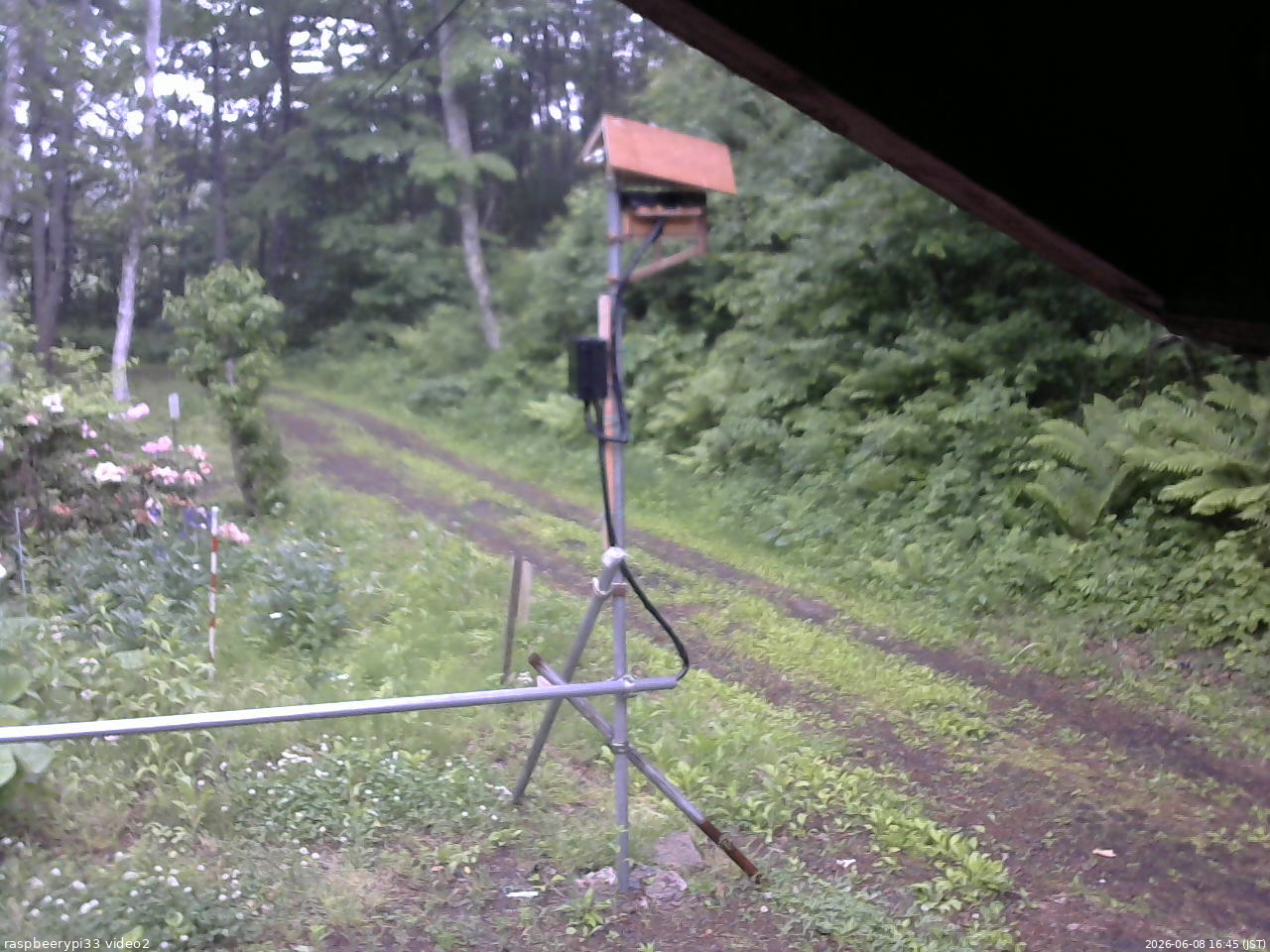 長野県菅平高原 ゆたか山荘 南側 2026/06/08 16:45