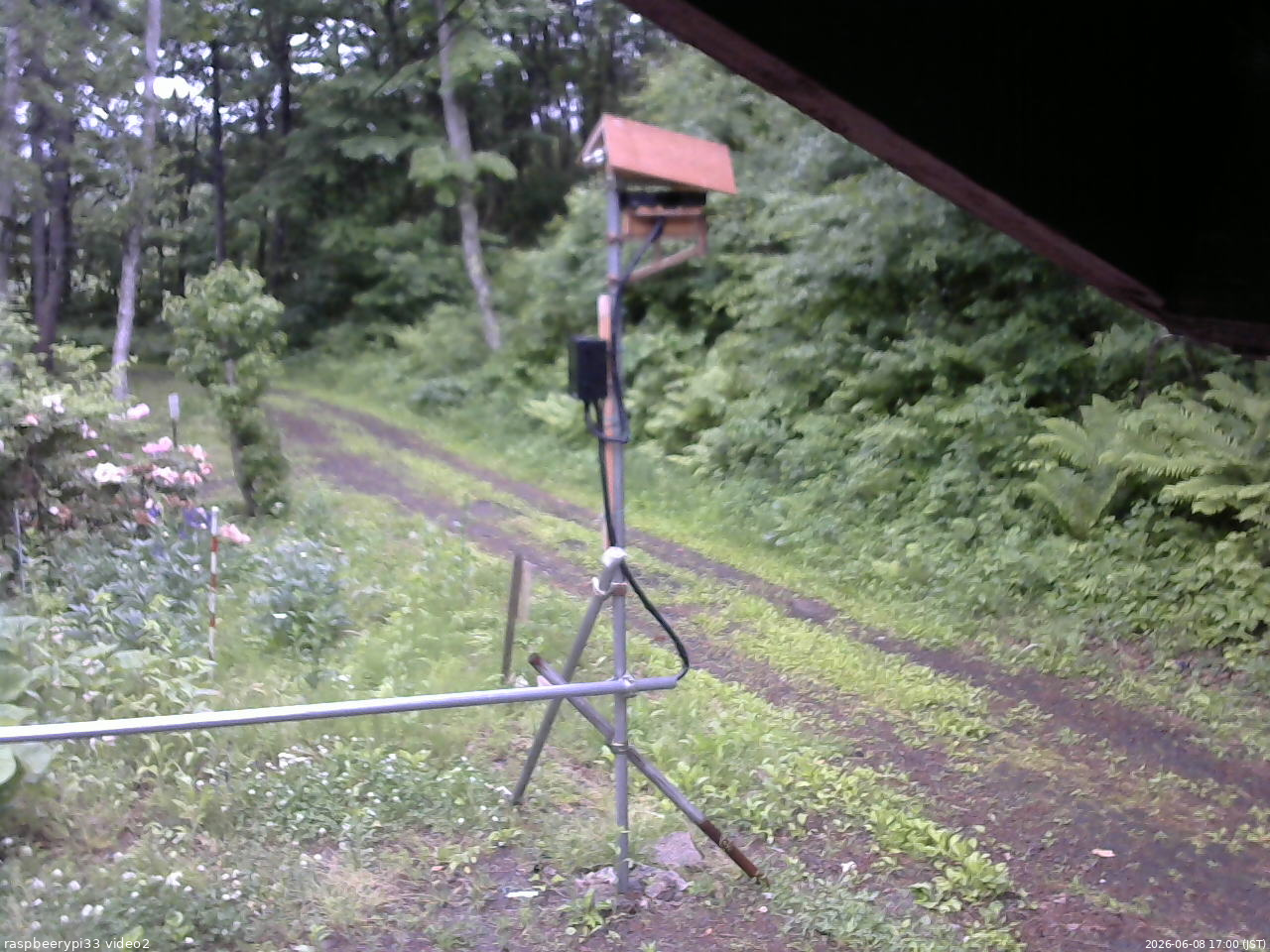 長野県菅平高原 ゆたか山荘 南側 2026/06/08 17:00