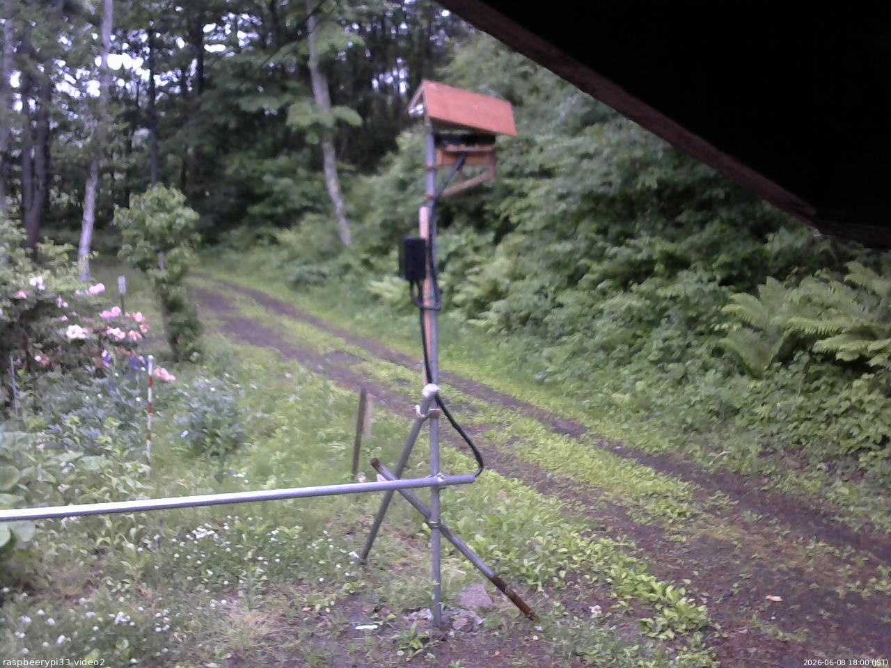 長野県菅平高原 ゆたか山荘 南側 2026/06/08 18:00