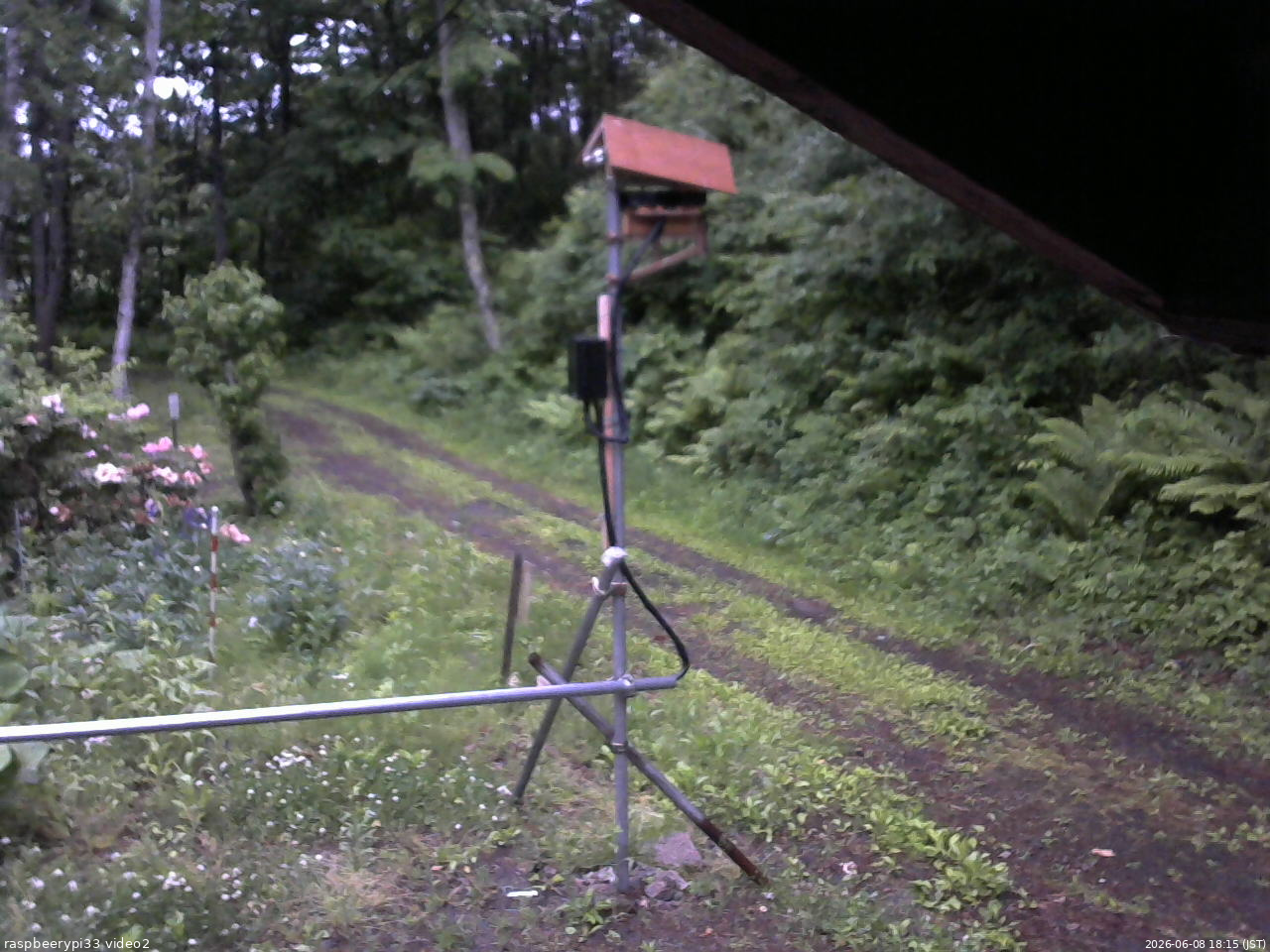 長野県菅平高原 ゆたか山荘 南側 2026/06/08 18:15