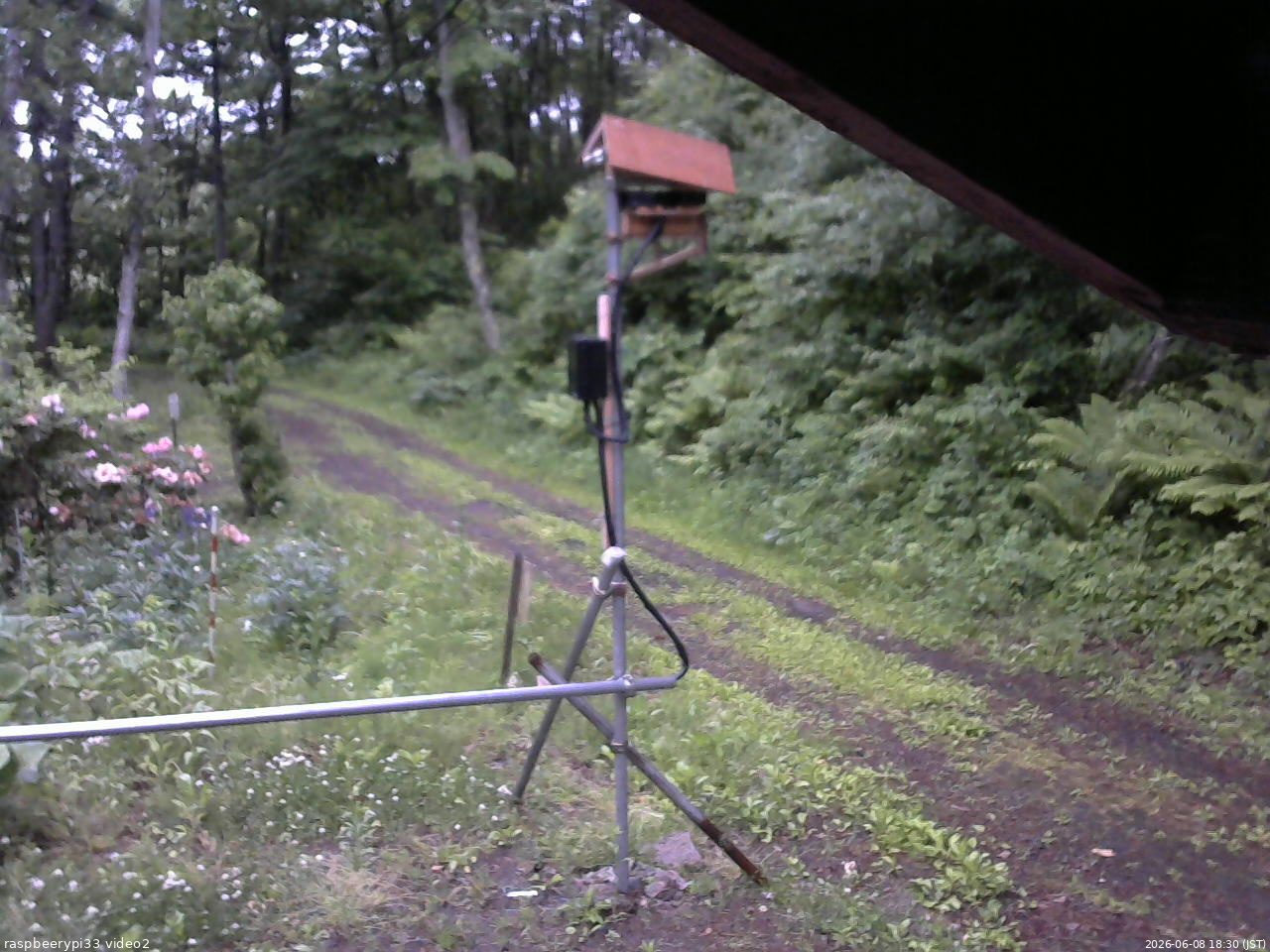 長野県菅平高原 ゆたか山荘 南側 2026/06/08 18:30