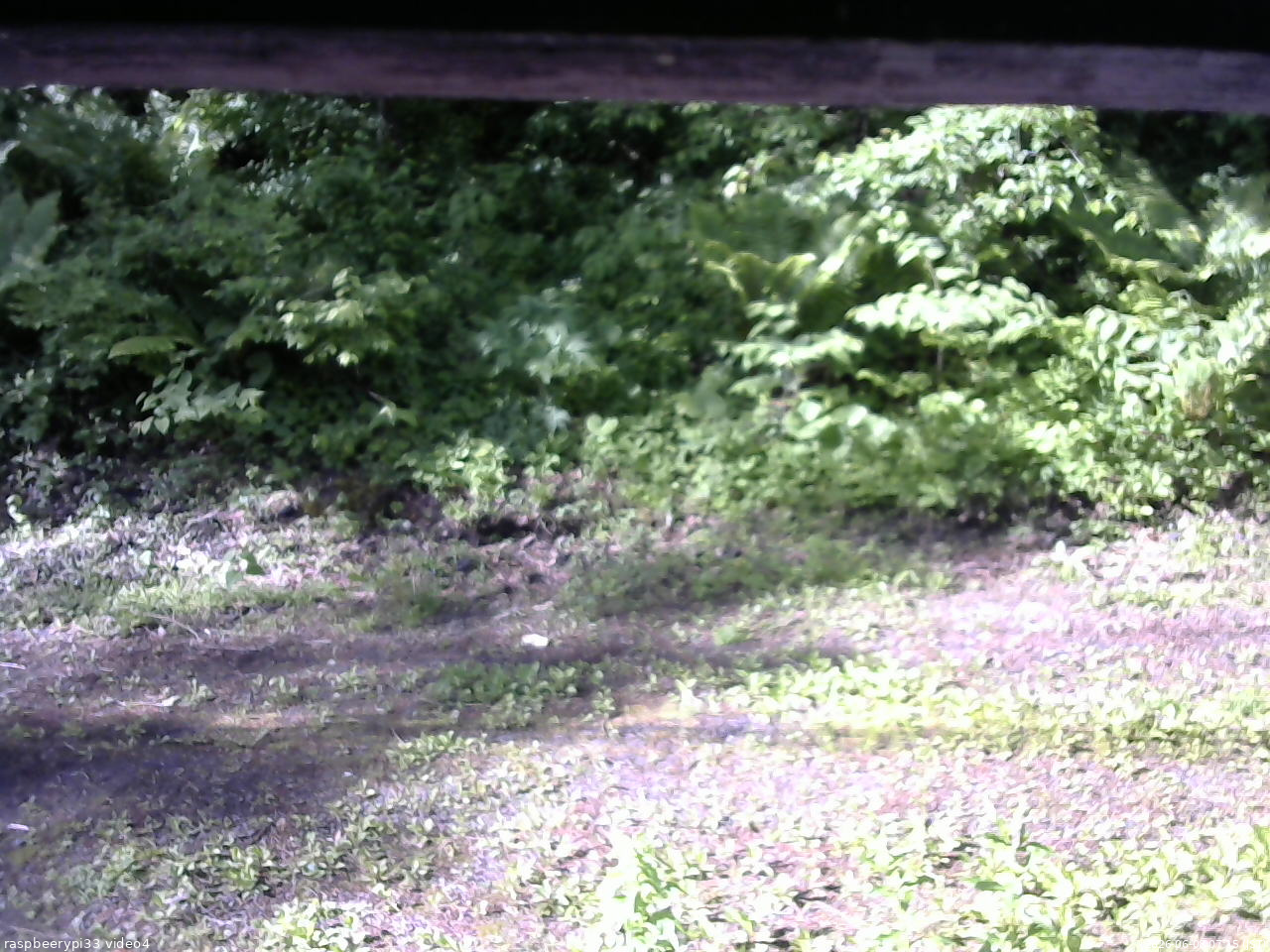 長野県菅平高原 ゆたか山荘 東側(坂下) 2026/06/08 07:15