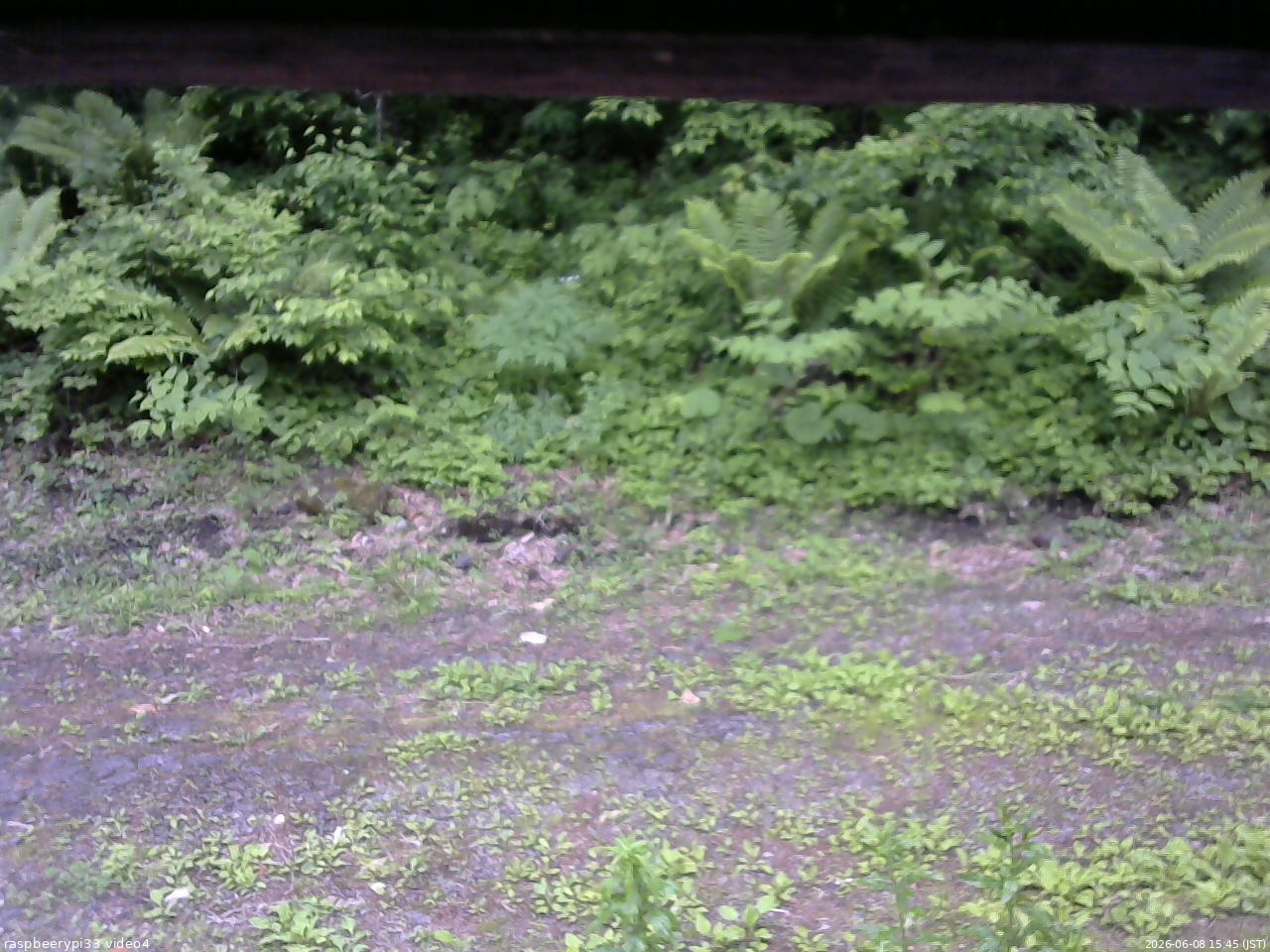 長野県菅平高原 ゆたか山荘 東側(坂下) 2026/06/08 15:45
