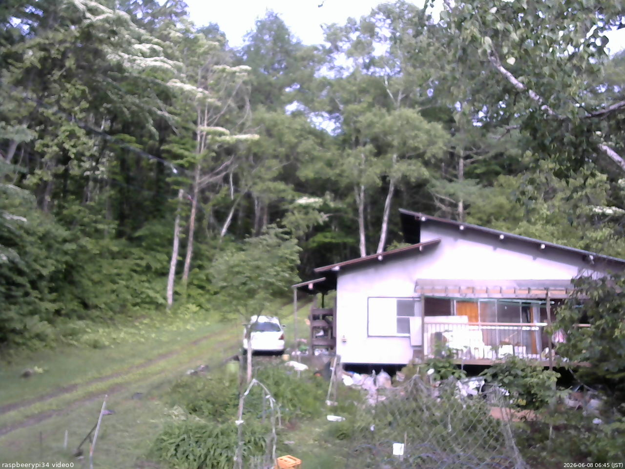 長野県菅平高原 ゆたか山荘 西側(坂上) 2026/06/08 06:45