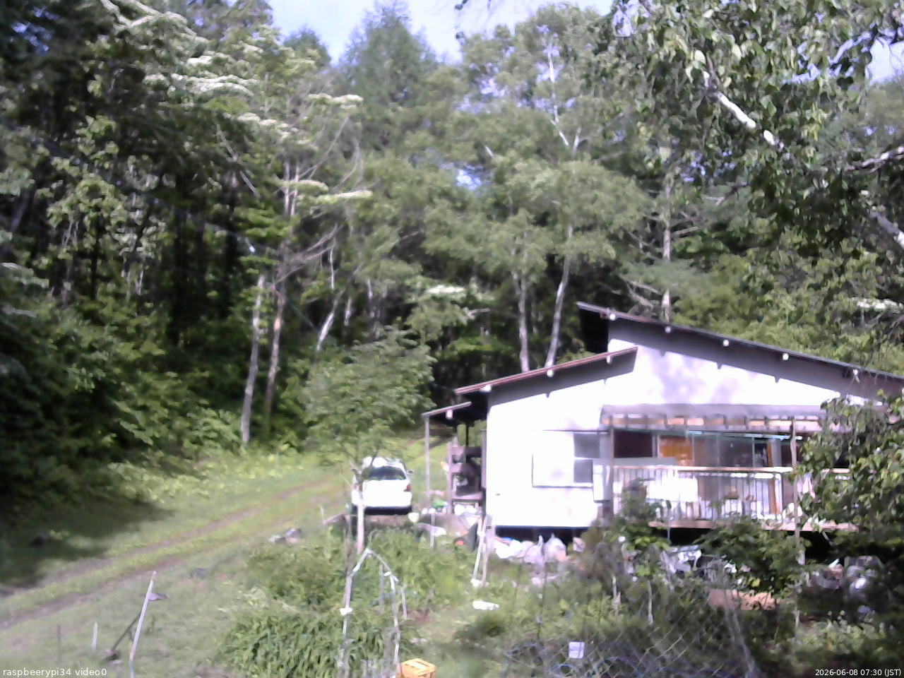 長野県菅平高原 ゆたか山荘 西側(坂上) 2026/06/08 07:30