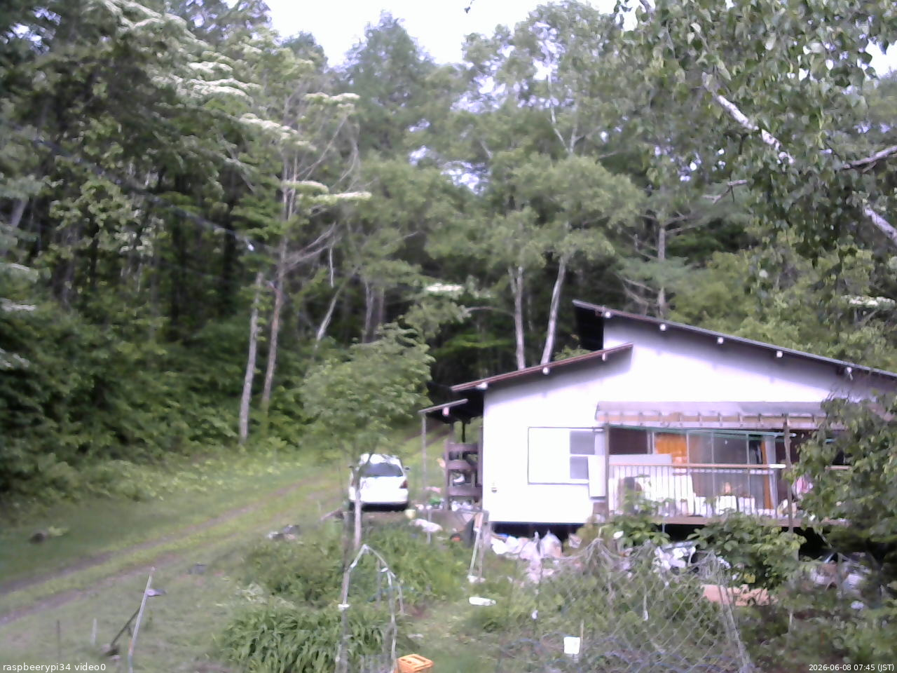 長野県菅平高原 ゆたか山荘 西側(坂上) 2026/06/08 07:45