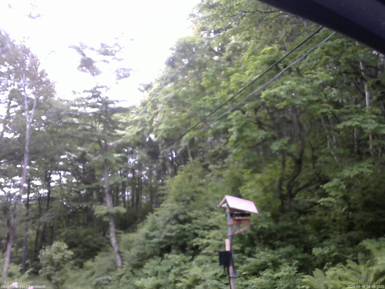 長野県菅平高原 ゆたか山荘 温度計 2026/06/08 06:00