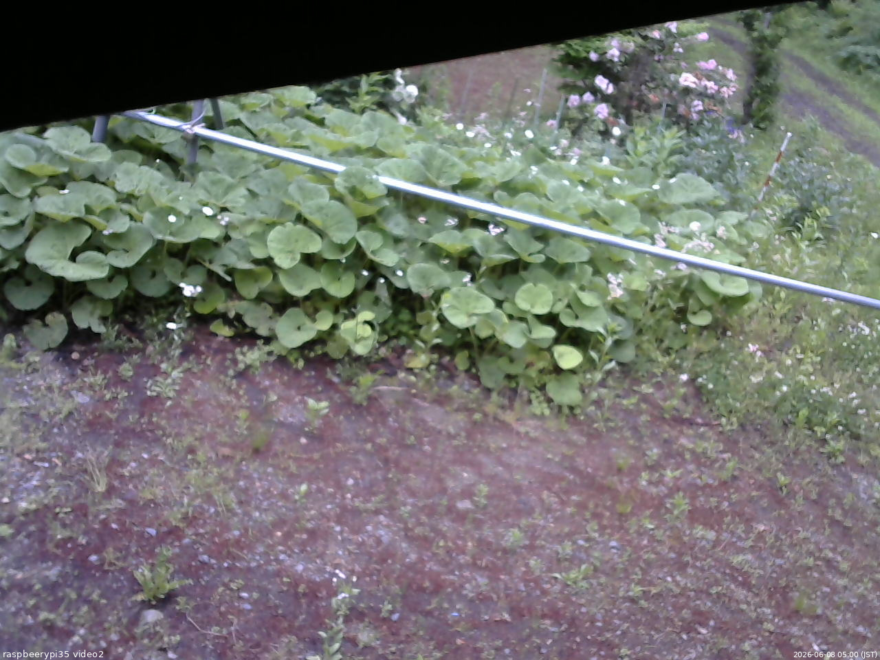 長野県菅平高原 ゆたか山荘 駐車場 2026/06/08 05:00