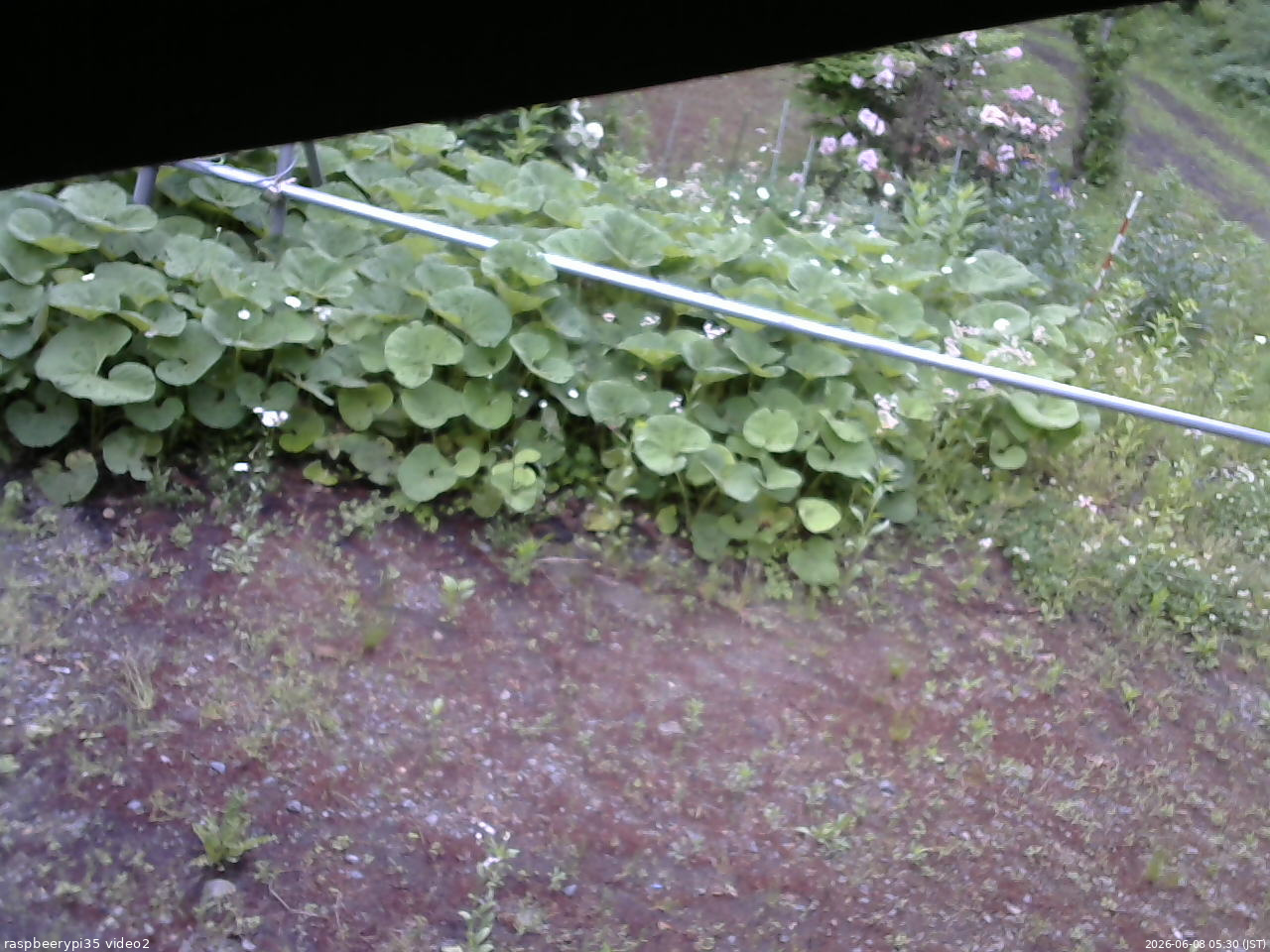 長野県菅平高原 ゆたか山荘 駐車場 2026/06/08 05:30
