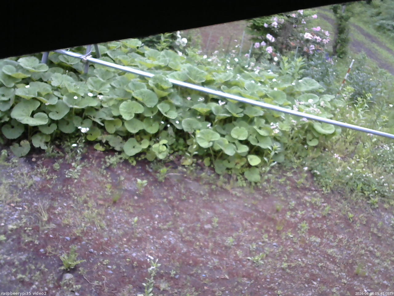 長野県菅平高原 ゆたか山荘 駐車場 2026/06/08 05:45