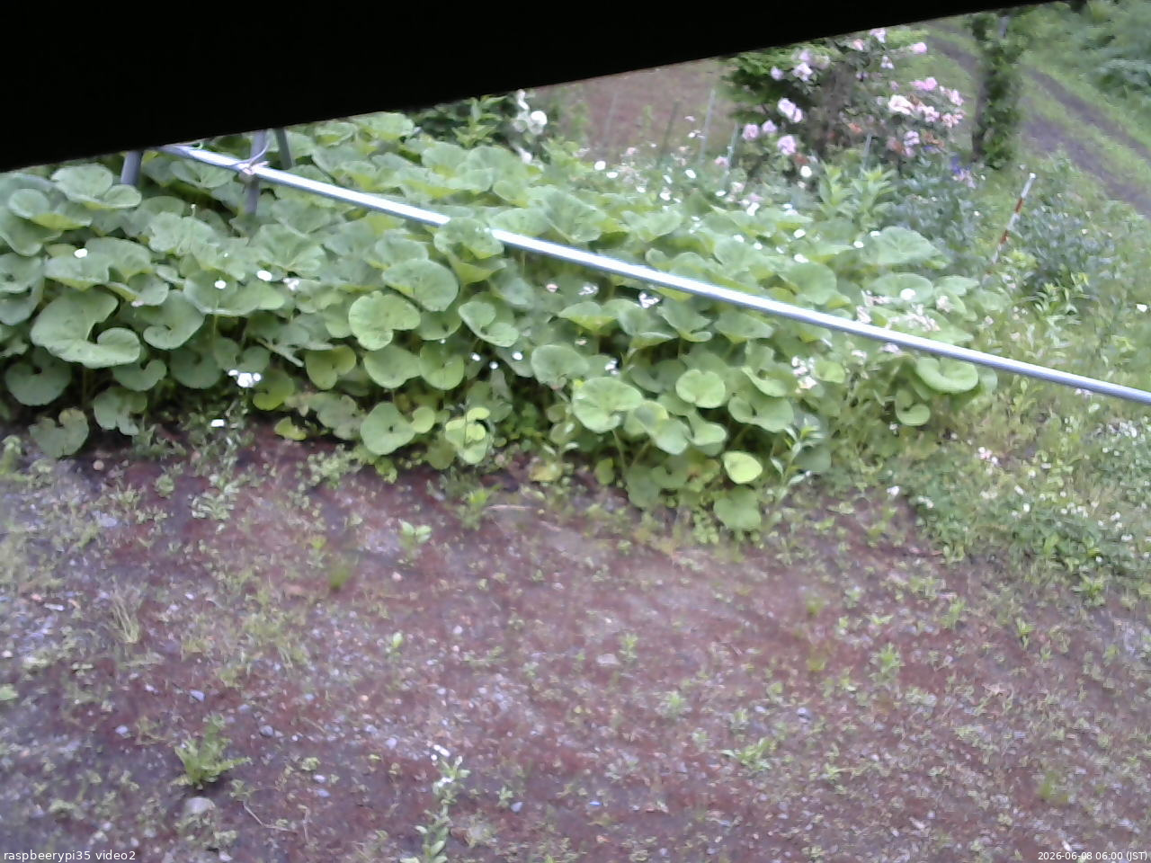 長野県菅平高原 ゆたか山荘 駐車場 2026/06/08 06:00