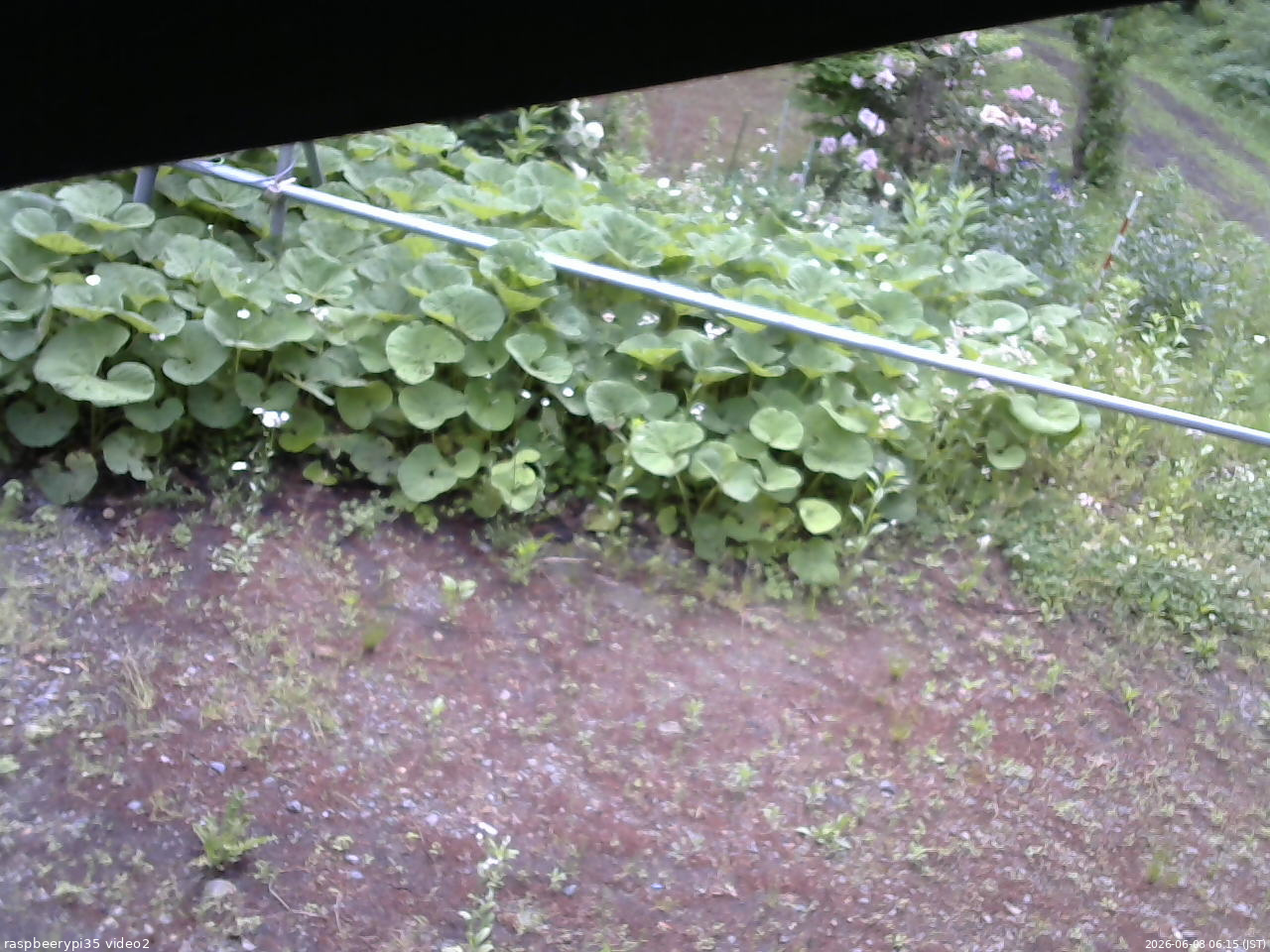 長野県菅平高原 ゆたか山荘 駐車場 2026/06/08 06:15