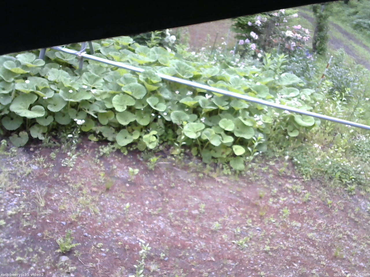 長野県菅平高原 ゆたか山荘 駐車場 2026/06/08 06:30