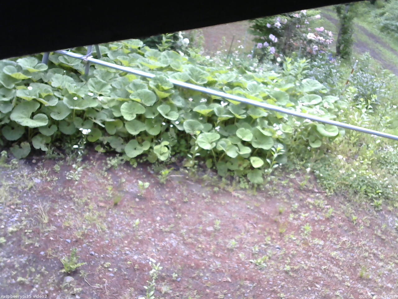 長野県菅平高原 ゆたか山荘 駐車場 2026/06/08 06:45
