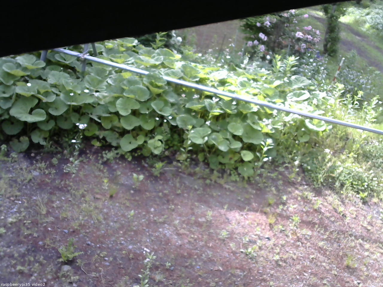 長野県菅平高原 ゆたか山荘 駐車場 2026/06/08 07:00