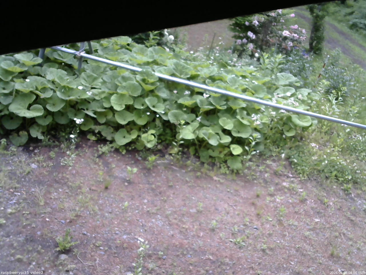 長野県菅平高原 ゆたか山荘 駐車場 2026/06/08 08:00
