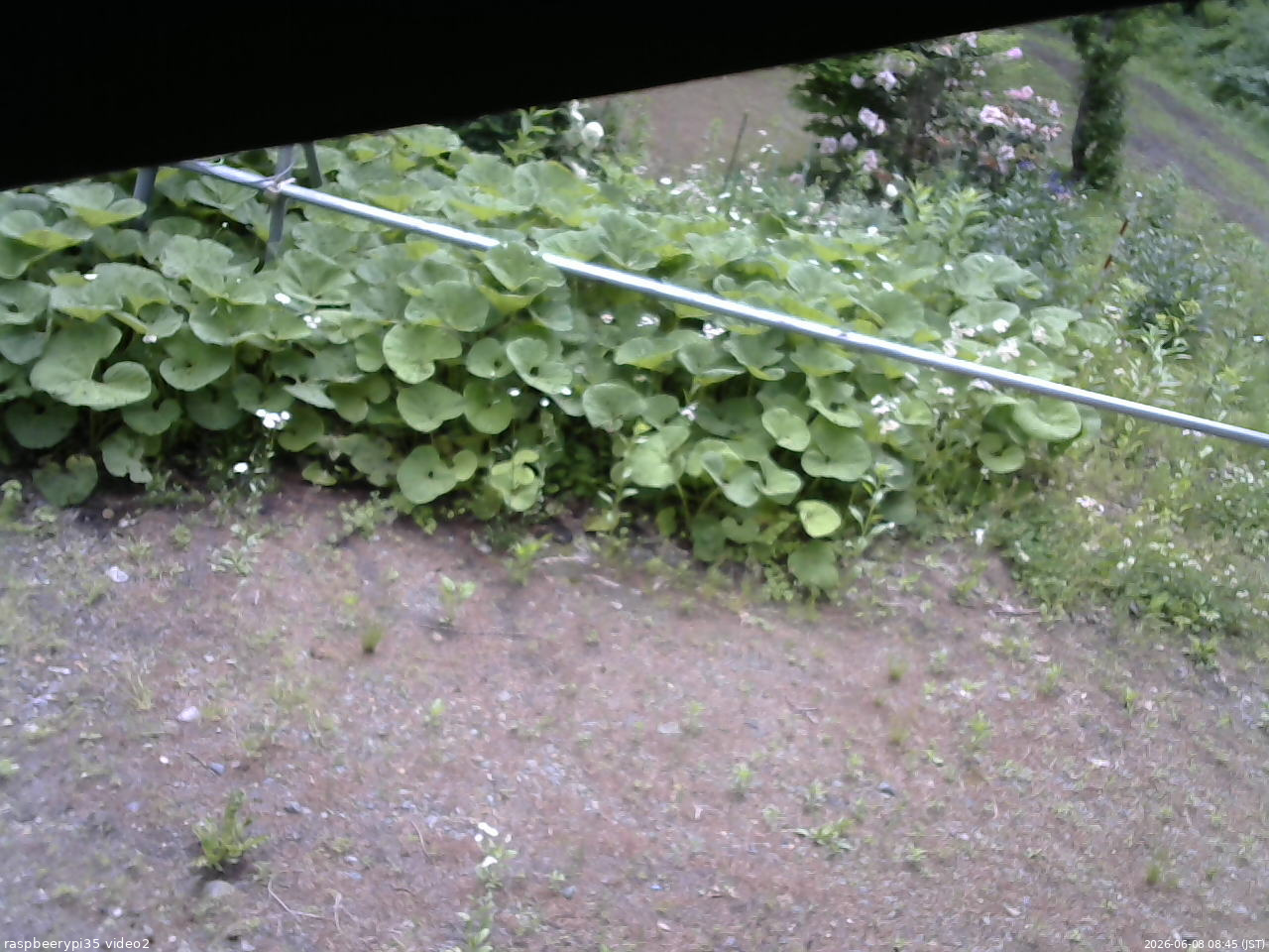 長野県菅平高原 ゆたか山荘 駐車場 2026/06/08 08:45