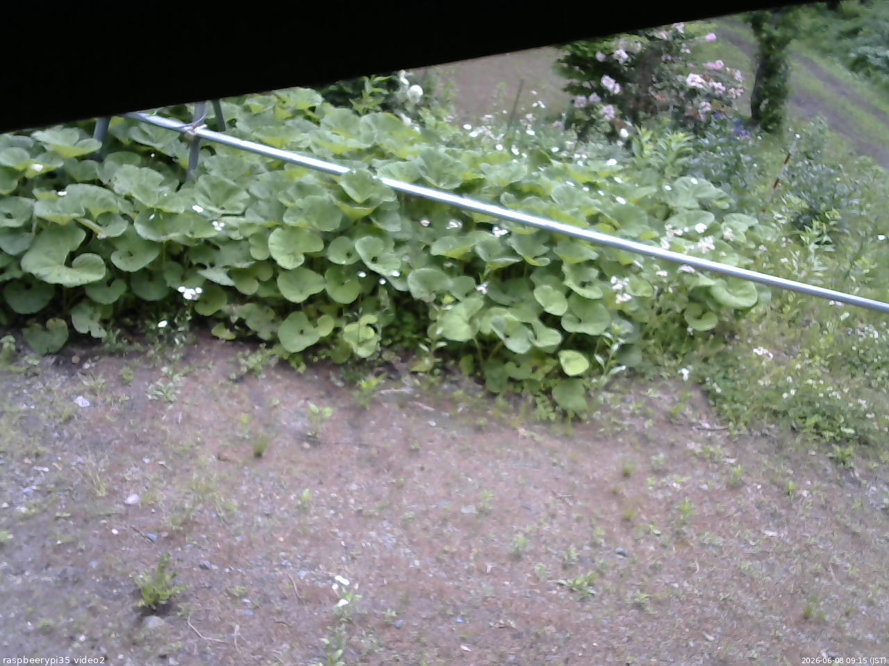 長野県菅平高原 ゆたか山荘 駐車場 2026/06/08 09:15