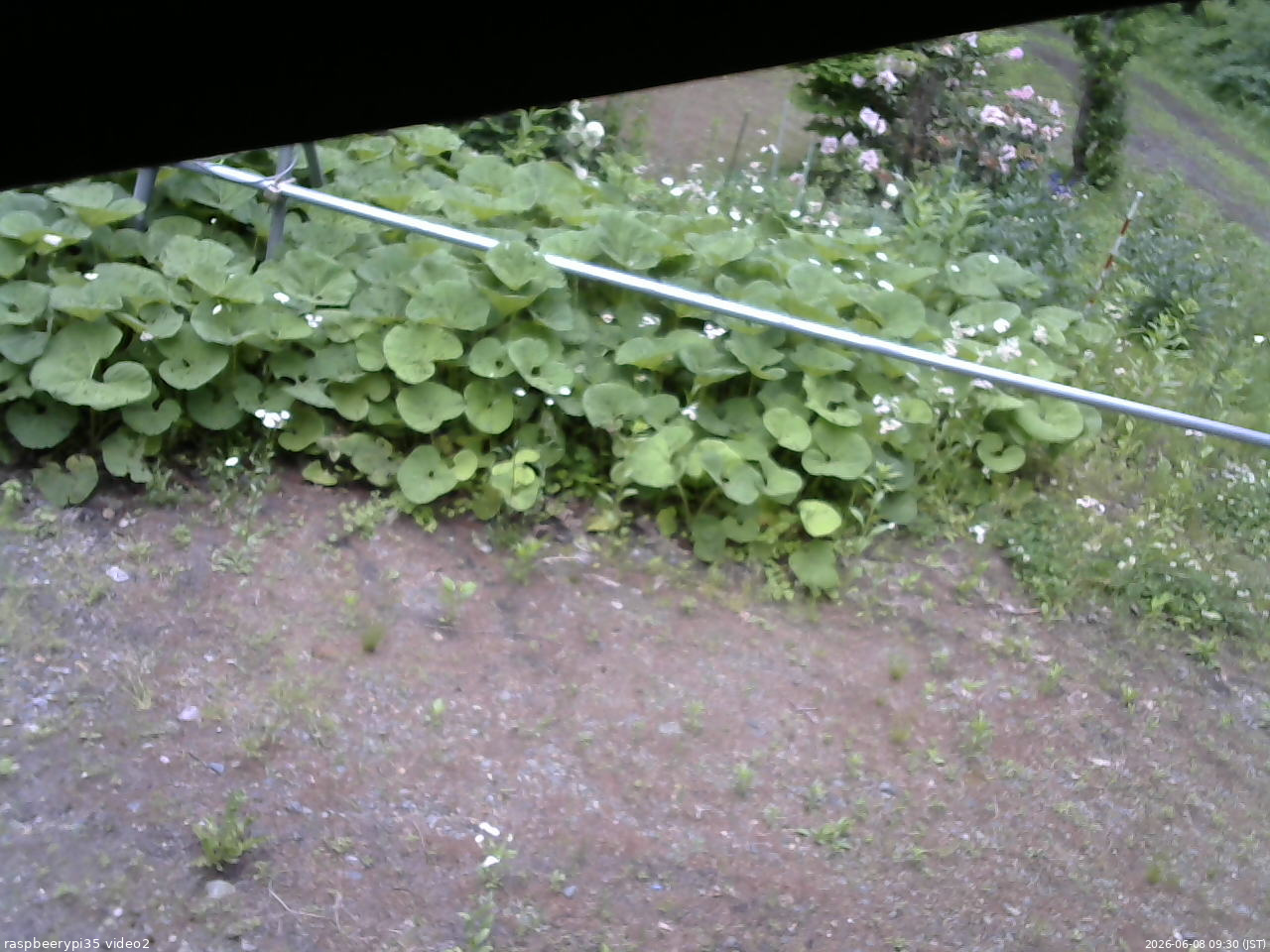 長野県菅平高原 ゆたか山荘 駐車場 2026/06/08 09:30