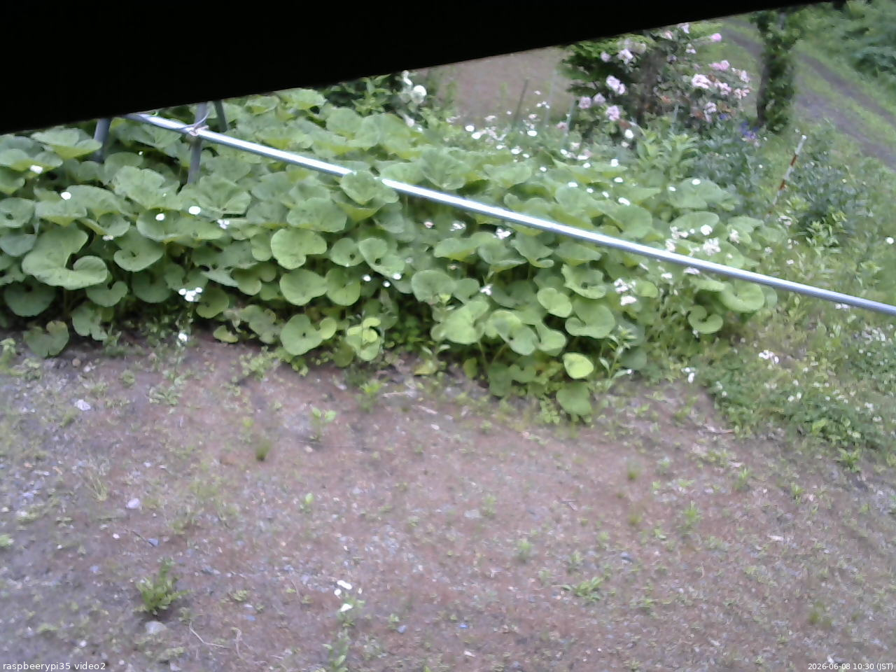 長野県菅平高原 ゆたか山荘 駐車場 2026/06/08 10:30