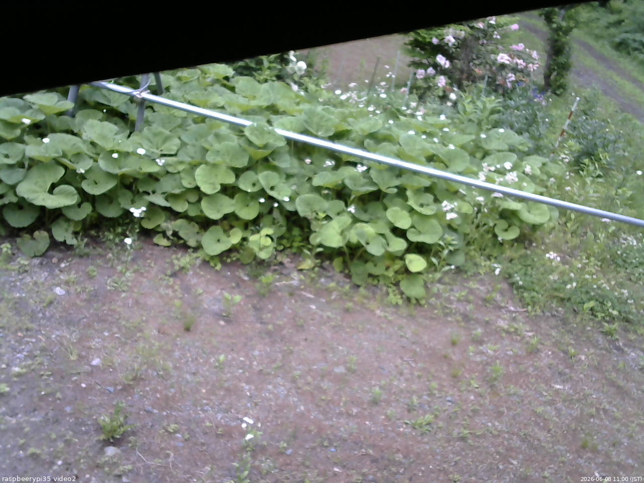 長野県菅平高原 ゆたか山荘 駐車場 2026/06/08 11:00