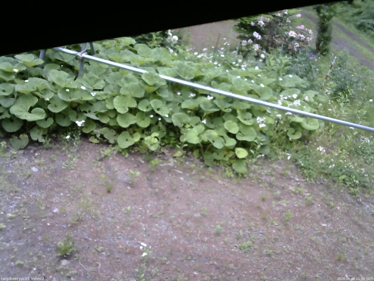 長野県菅平高原 ゆたか山荘 駐車場 2026/06/08 11:30