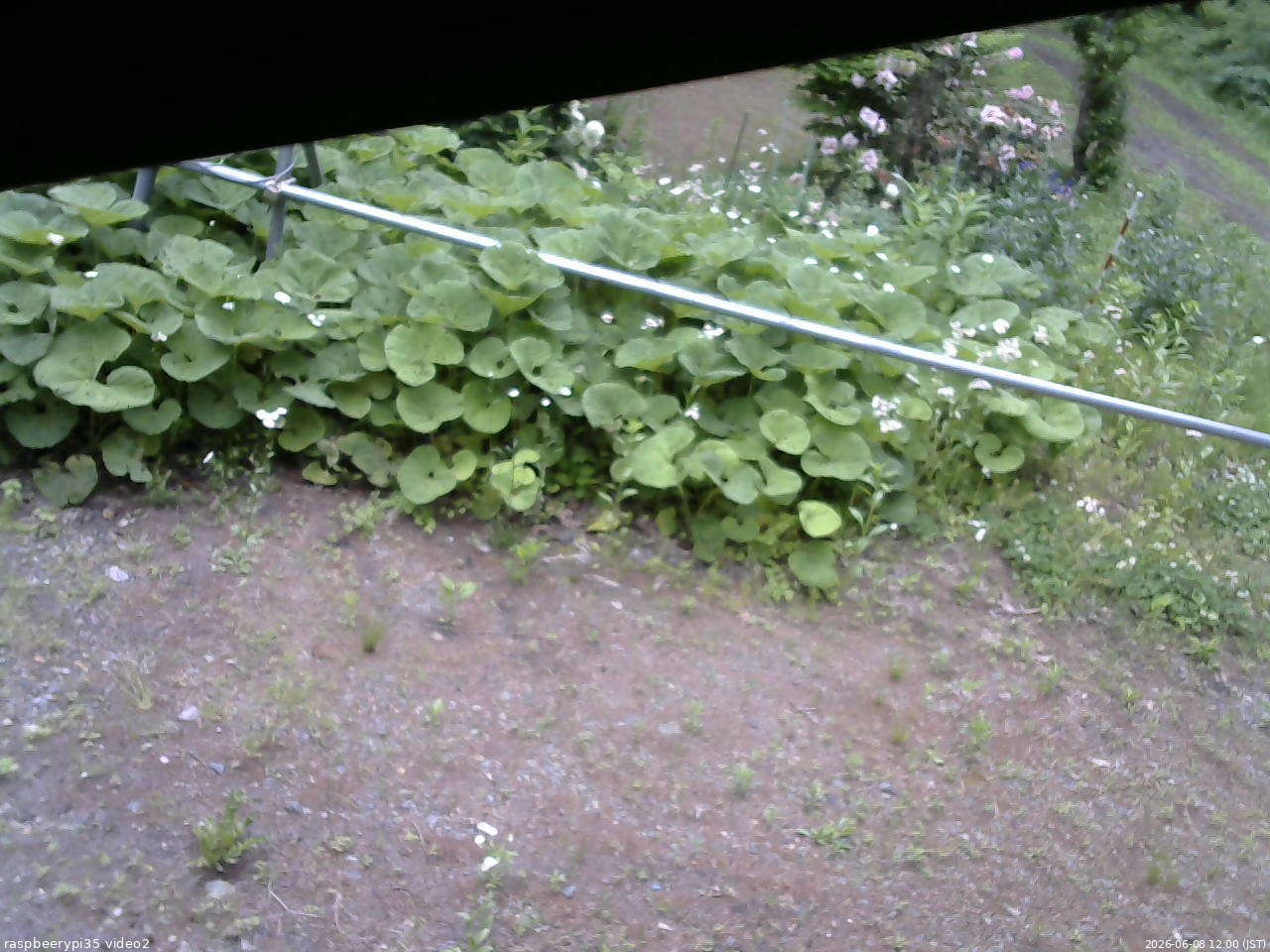 長野県菅平高原 ゆたか山荘 駐車場 2026/06/08 12:00
