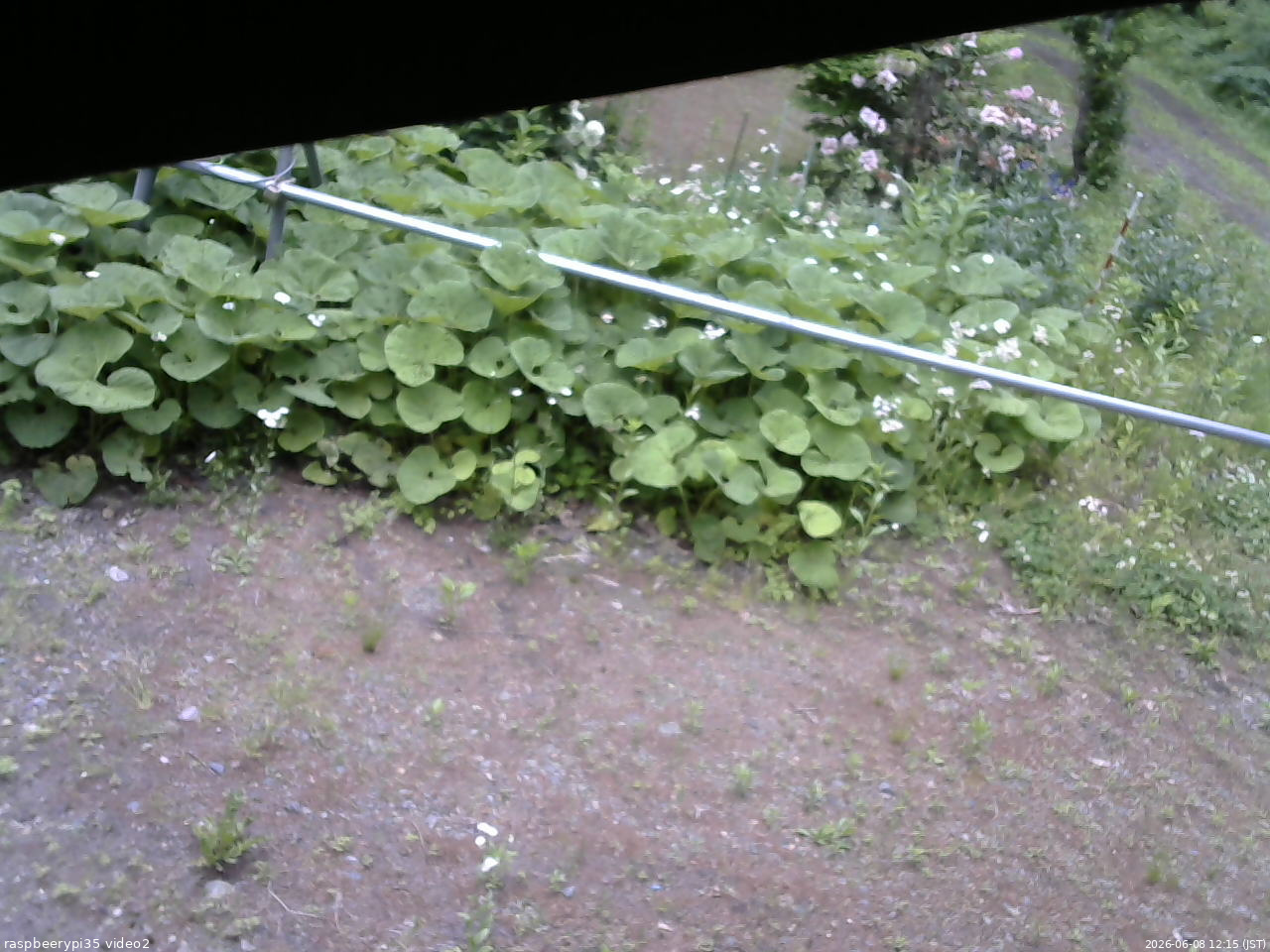 長野県菅平高原 ゆたか山荘 駐車場 2026/06/08 12:15