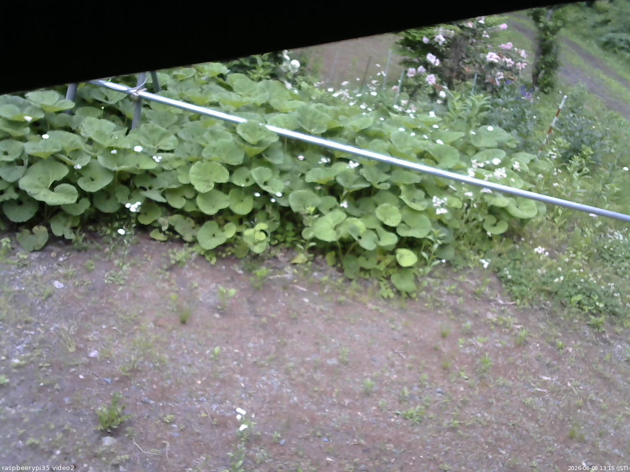 長野県菅平高原 ゆたか山荘 駐車場 2026/06/08 13:15