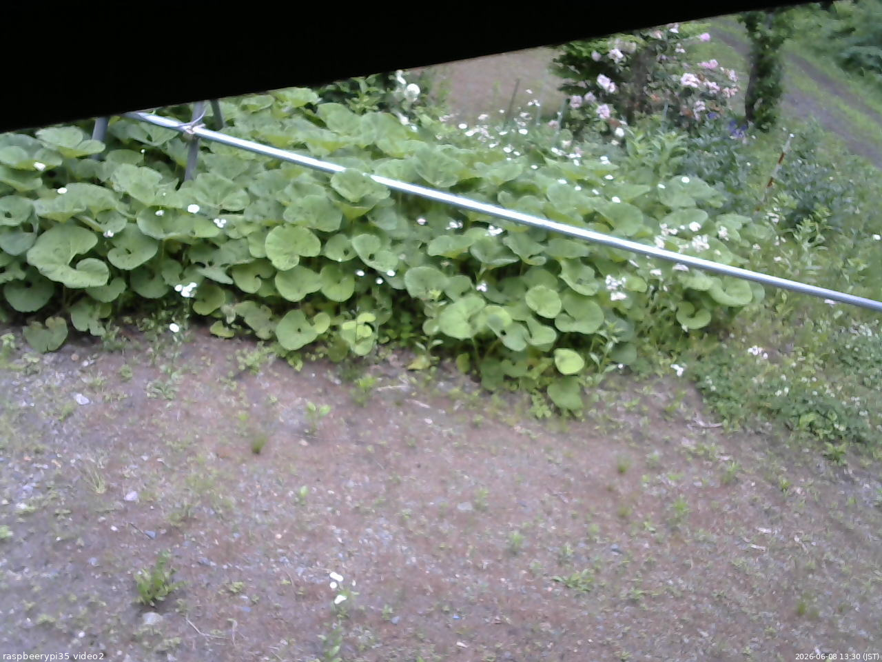 長野県菅平高原 ゆたか山荘 駐車場 2026/06/08 13:30