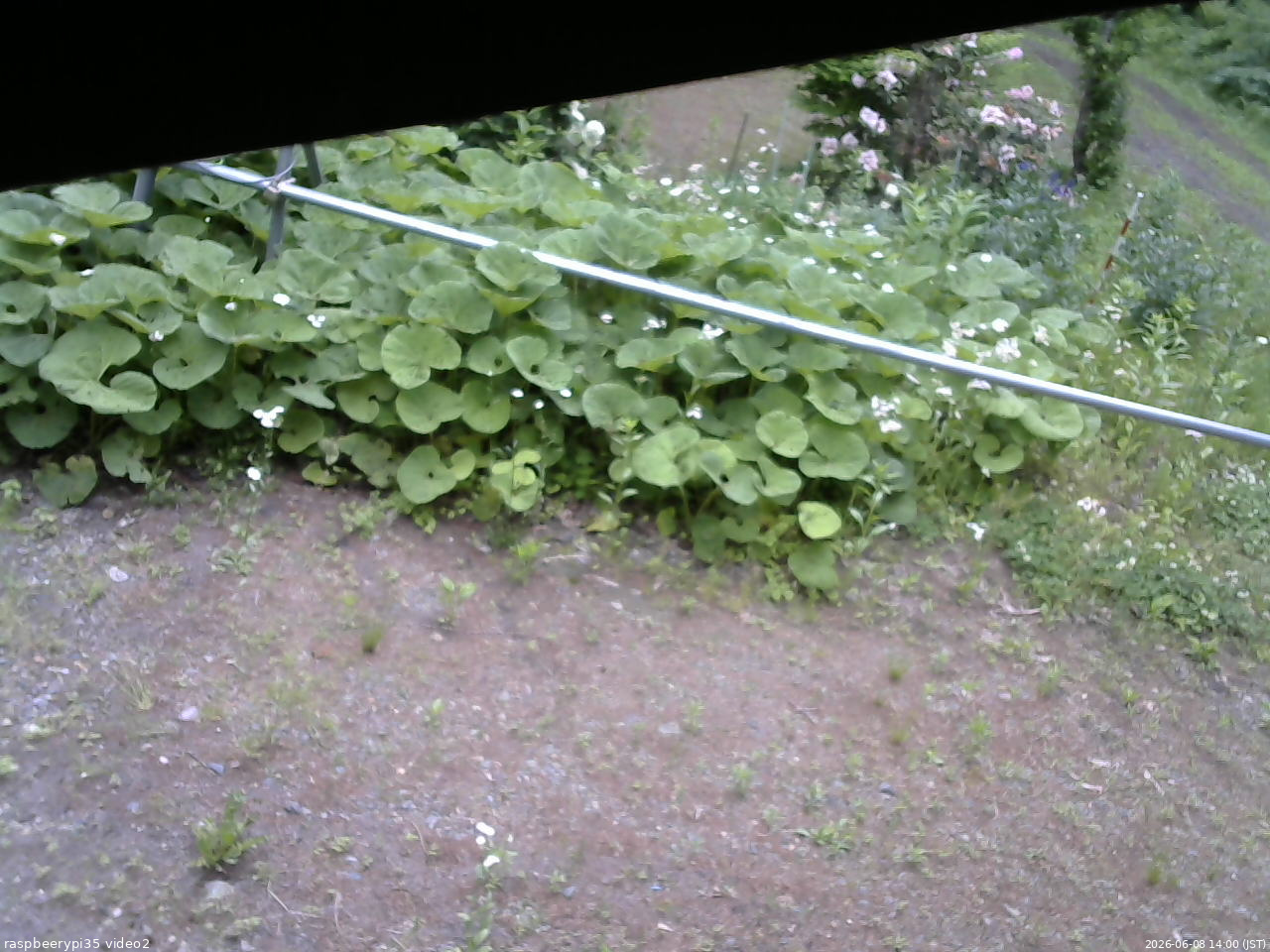 長野県菅平高原 ゆたか山荘 駐車場 2026/06/08 14:00