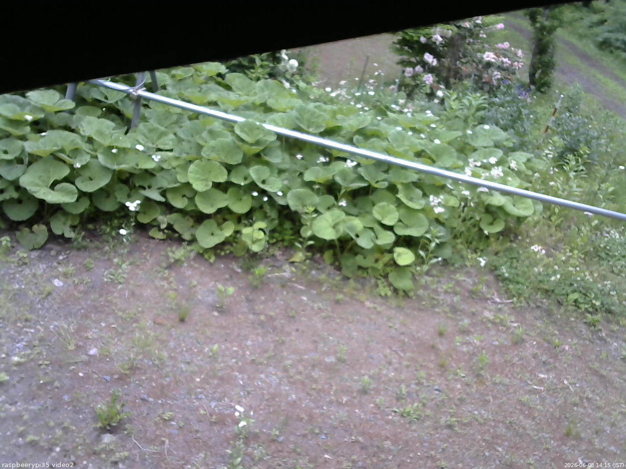 長野県菅平高原 ゆたか山荘 駐車場 2026/06/08 14:15