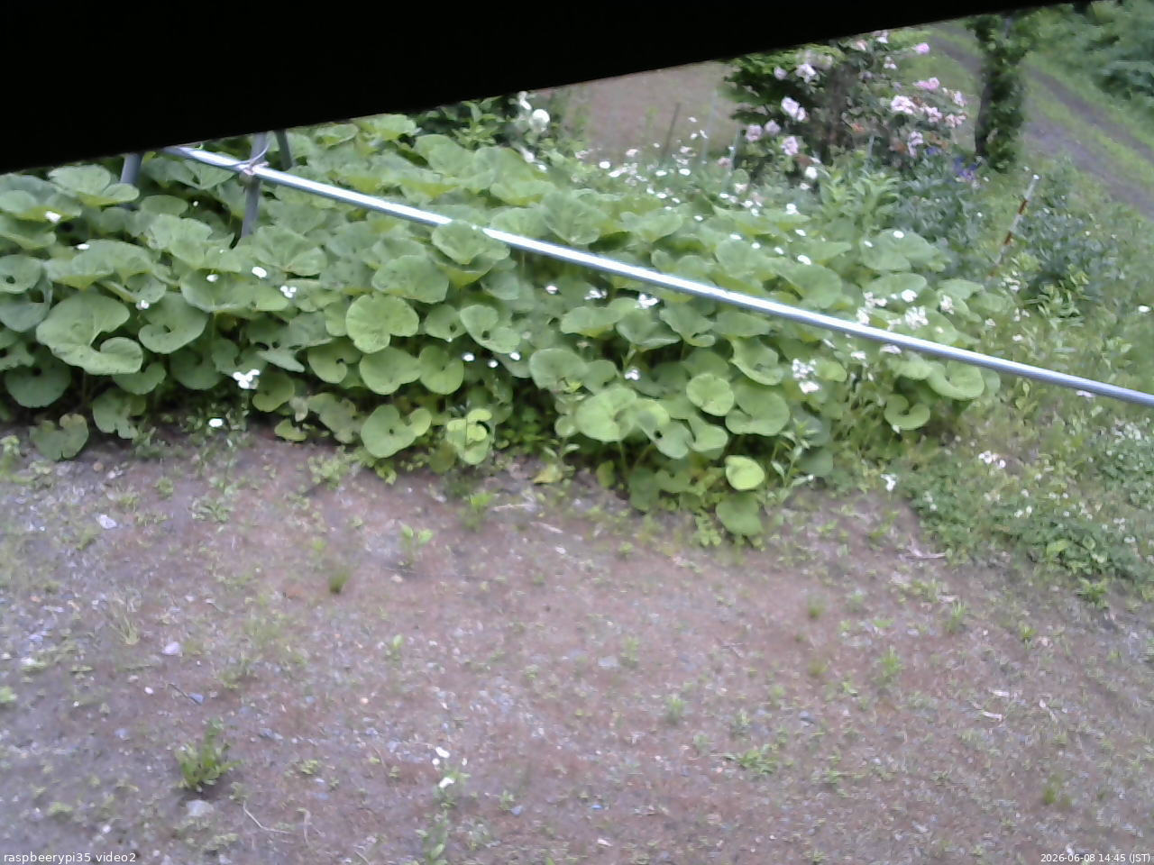 長野県菅平高原 ゆたか山荘 駐車場 2026/06/08 14:45