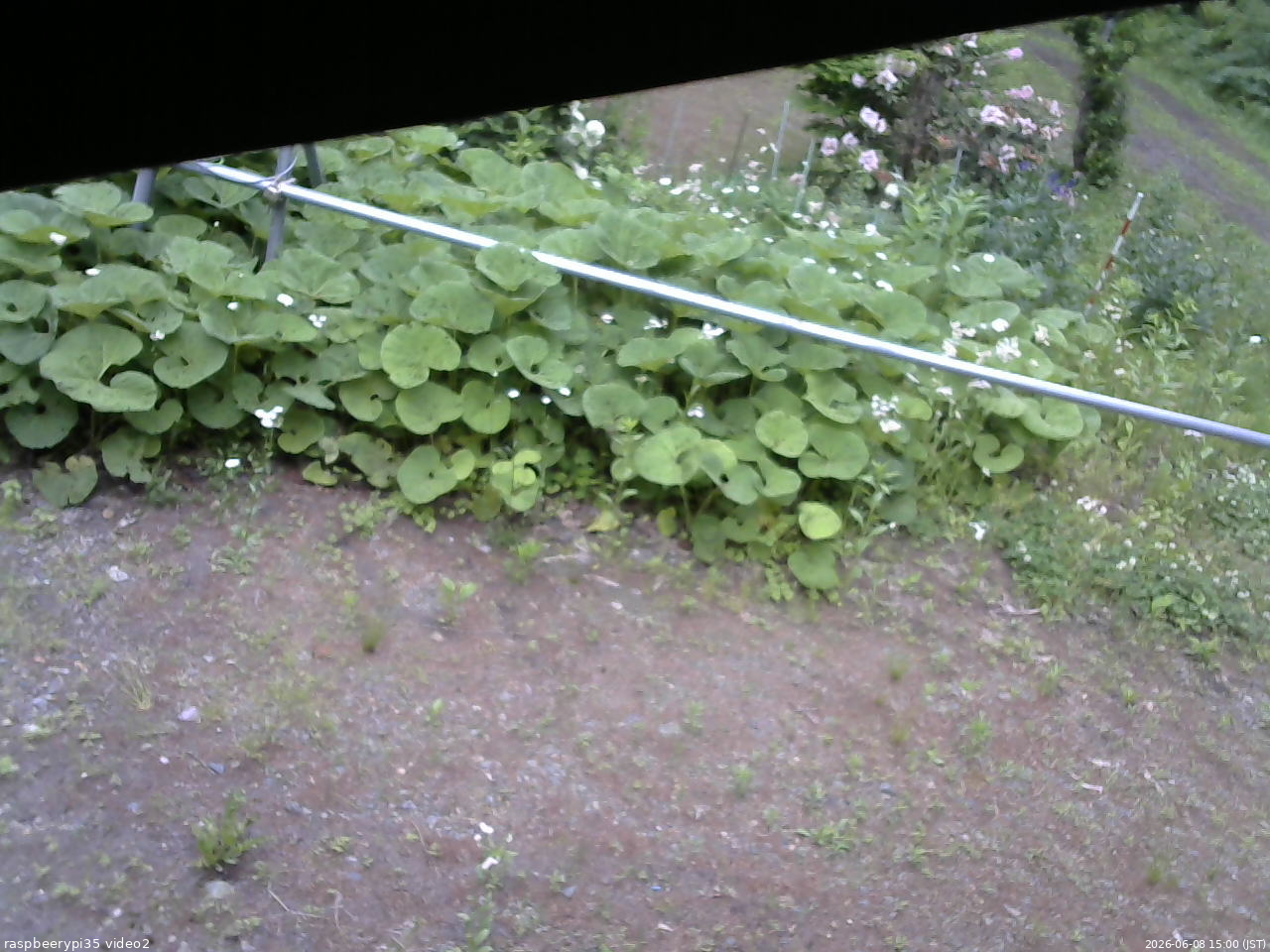 長野県菅平高原 ゆたか山荘 駐車場 2026/06/08 15:00