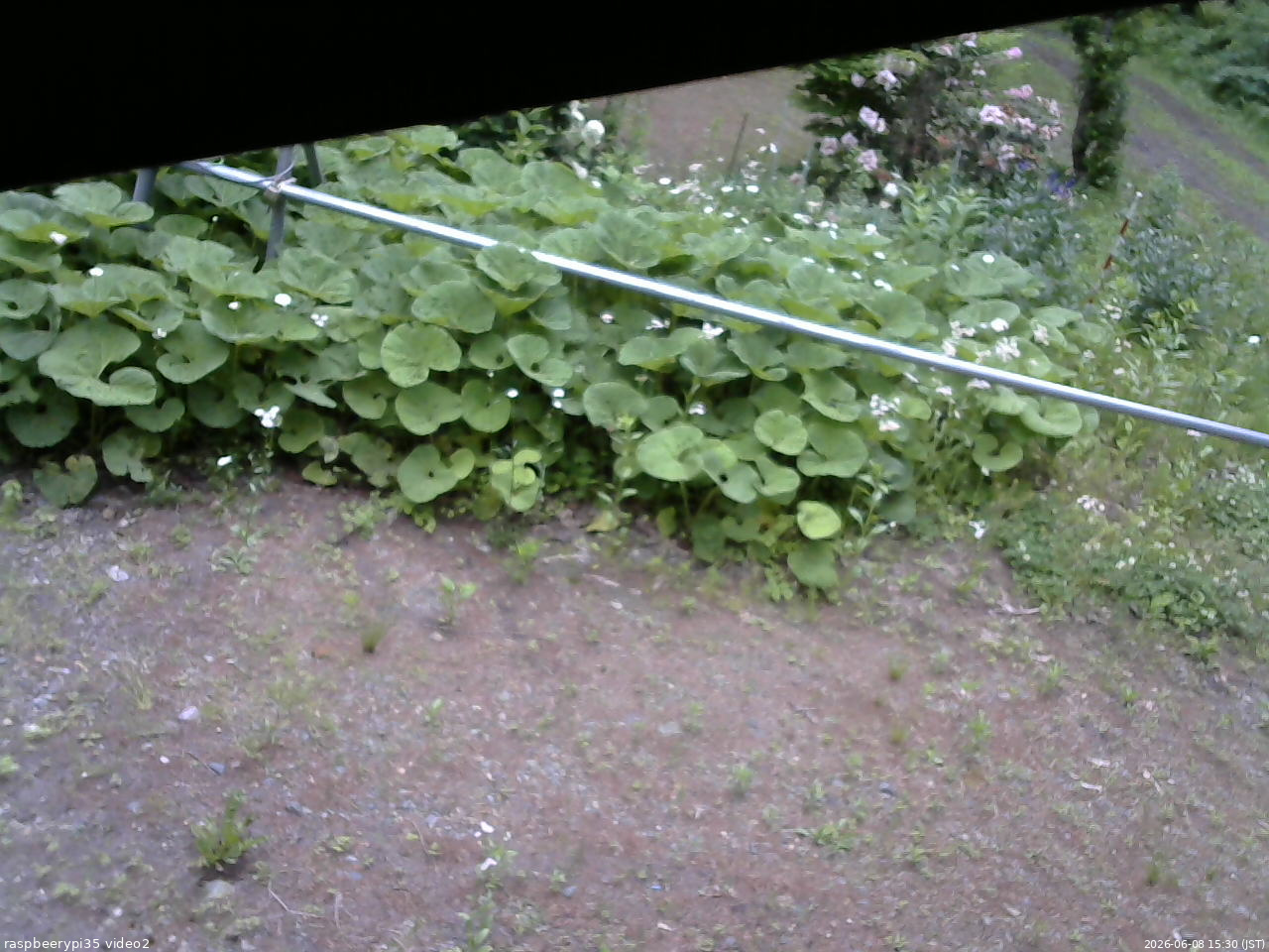 長野県菅平高原 ゆたか山荘 駐車場 2026/06/08 15:30
