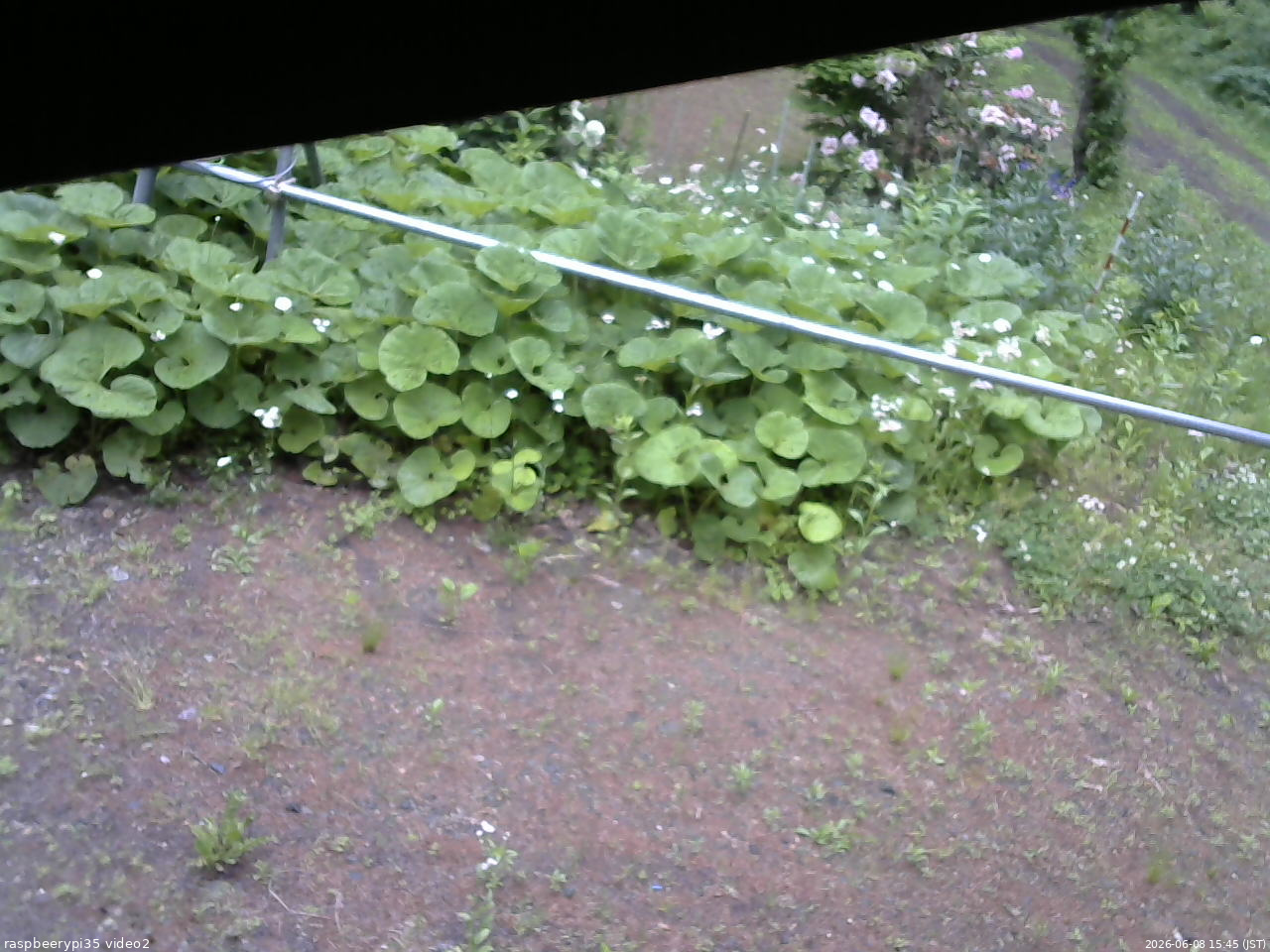 長野県菅平高原 ゆたか山荘 駐車場 2026/06/08 15:45