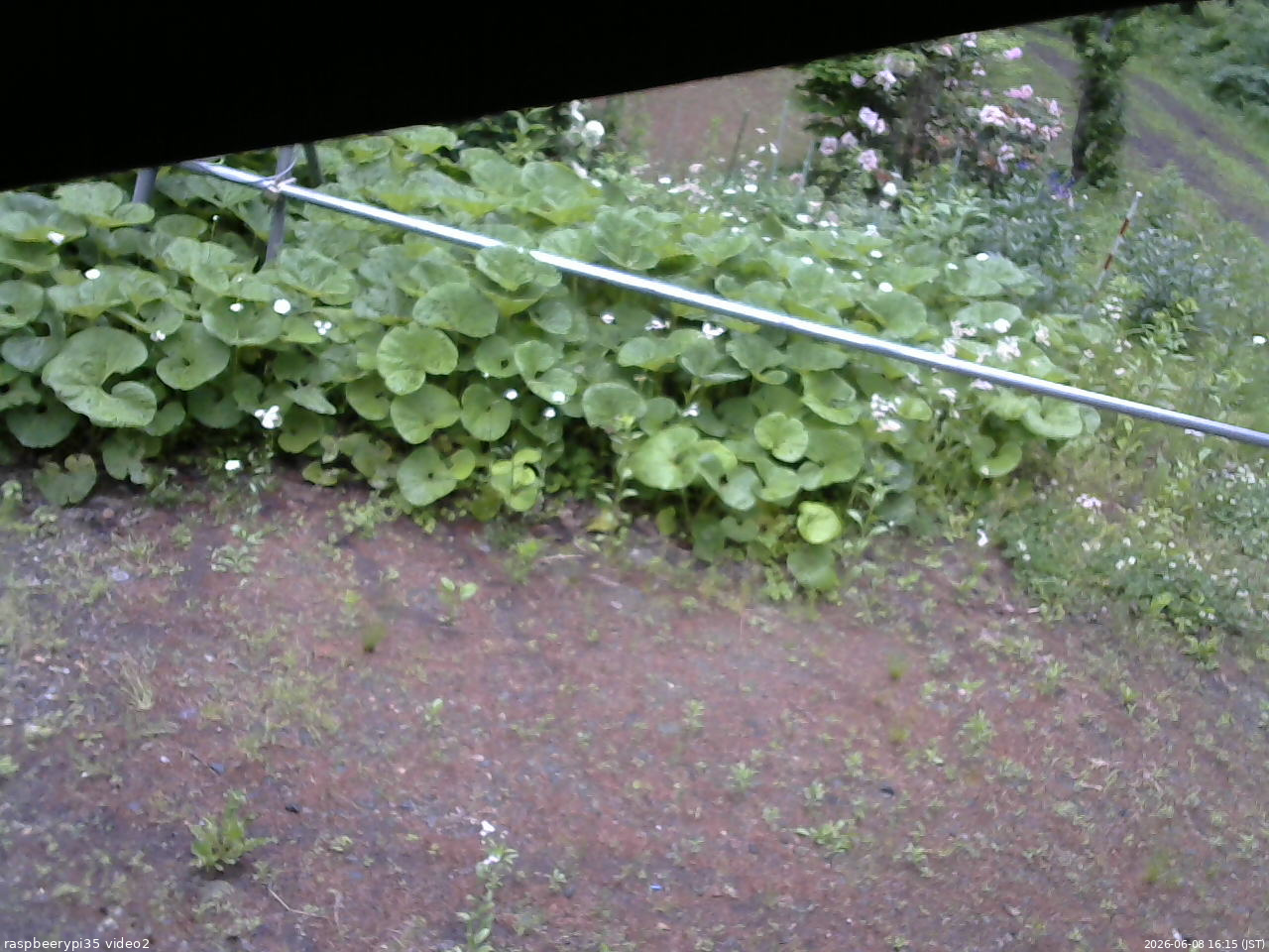 長野県菅平高原 ゆたか山荘 駐車場 2026/06/08 16:15