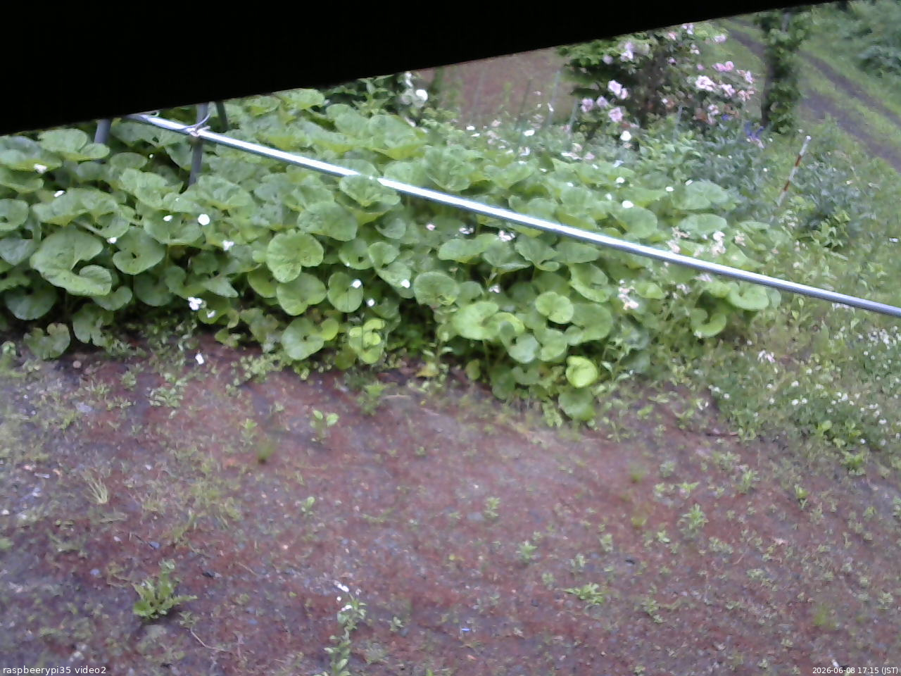 長野県菅平高原 ゆたか山荘 駐車場 2026/06/08 17:15