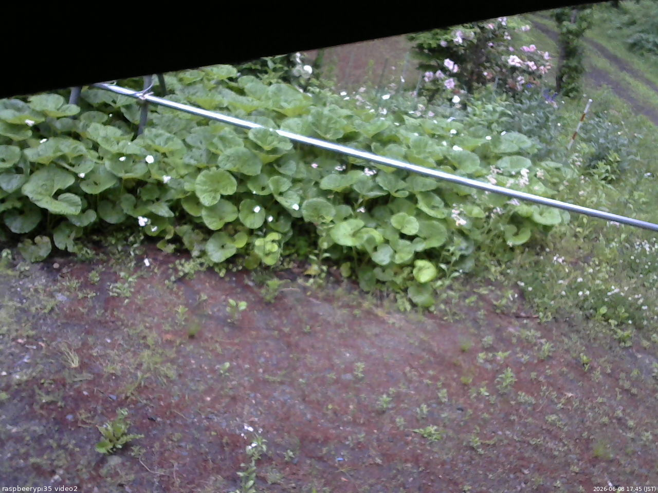 長野県菅平高原 ゆたか山荘 駐車場 2026/06/08 17:45
