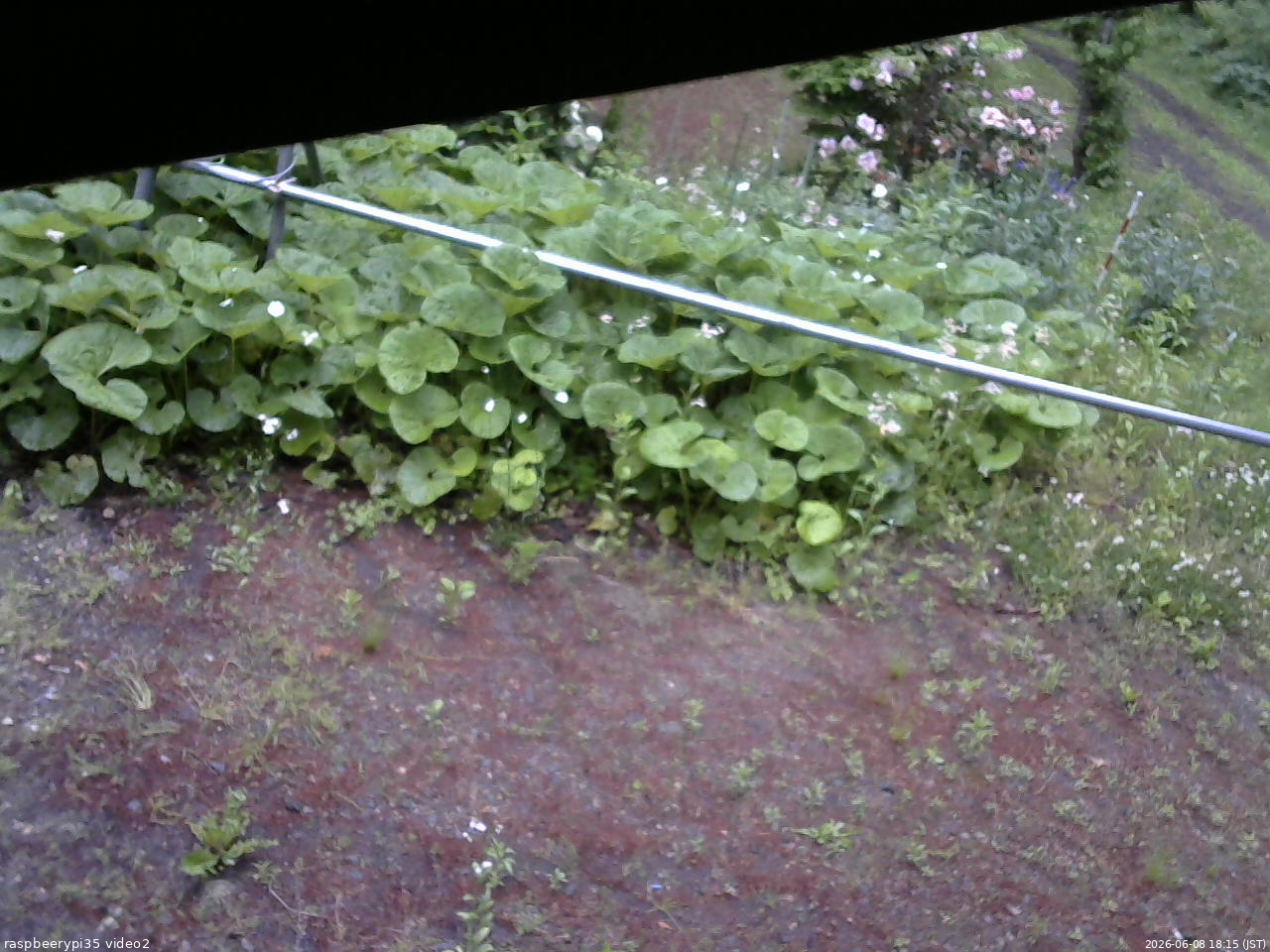 長野県菅平高原 ゆたか山荘 駐車場 2026/06/08 18:15