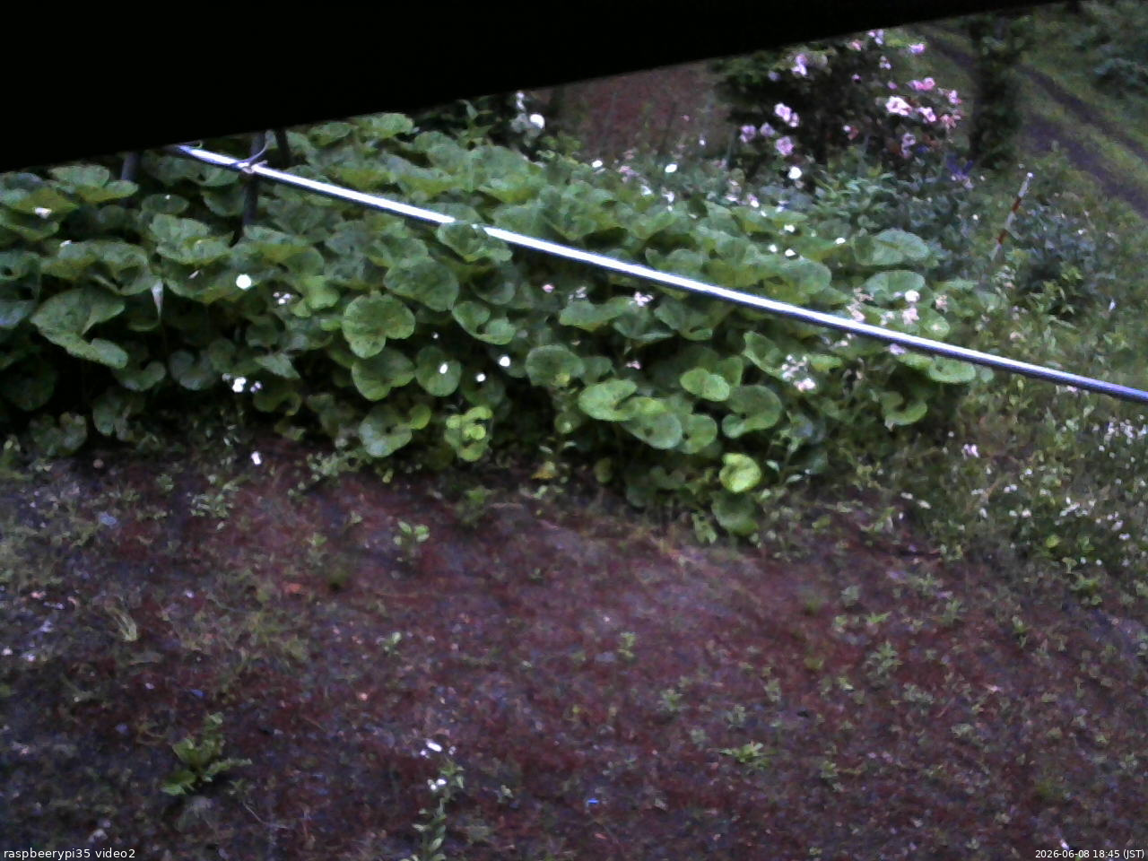 長野県菅平高原 ゆたか山荘 駐車場 2026/06/08 18:45