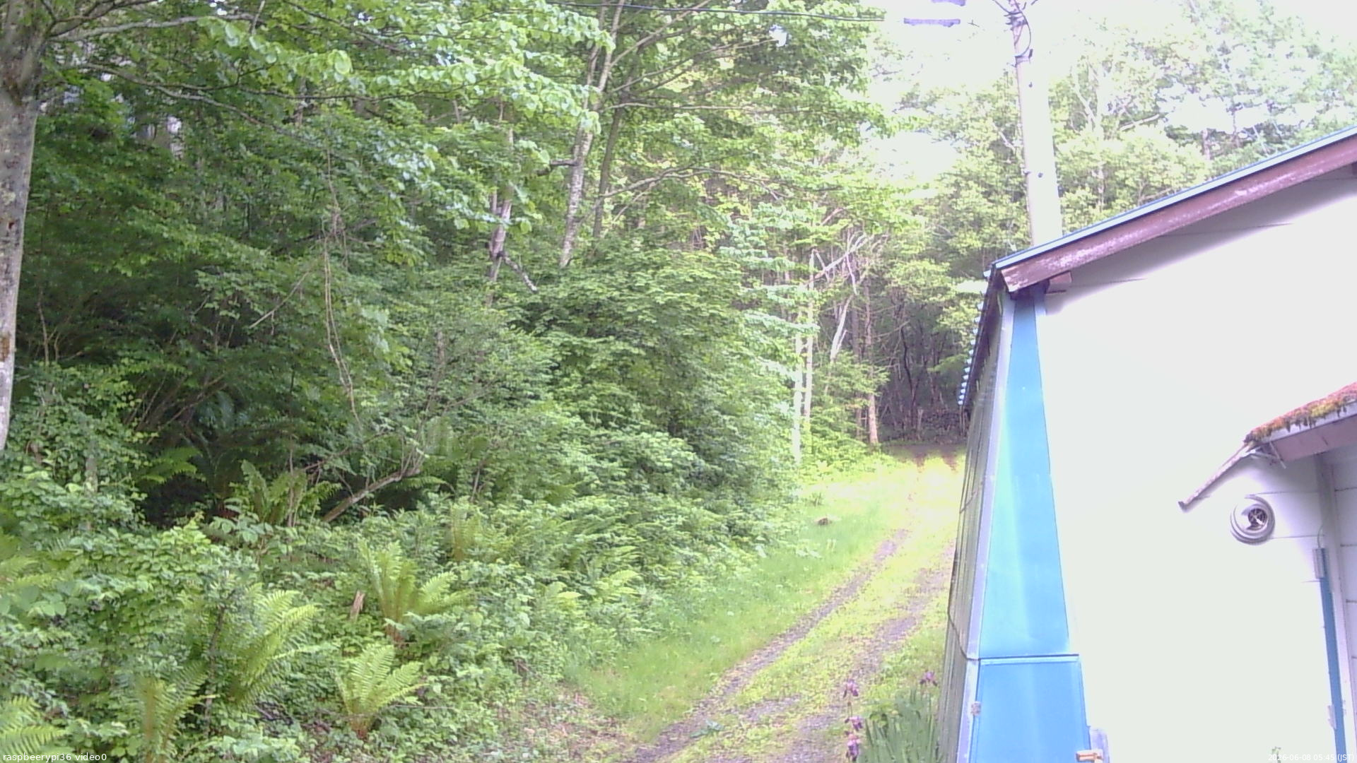 長野県菅平高原 ゆたか山荘 ゆたか山荘 2026/06/08 05:45