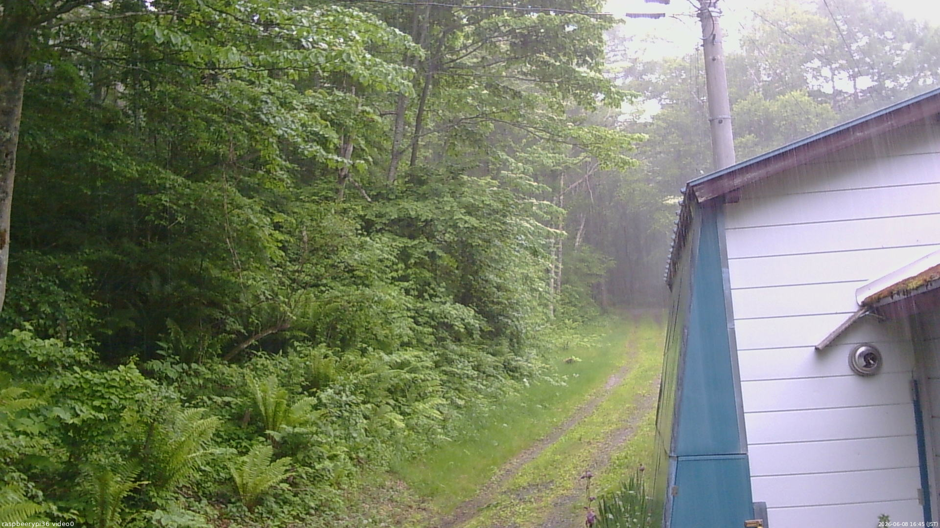 長野県菅平高原 ゆたか山荘 ゆたか山荘 2026/06/08 16:45