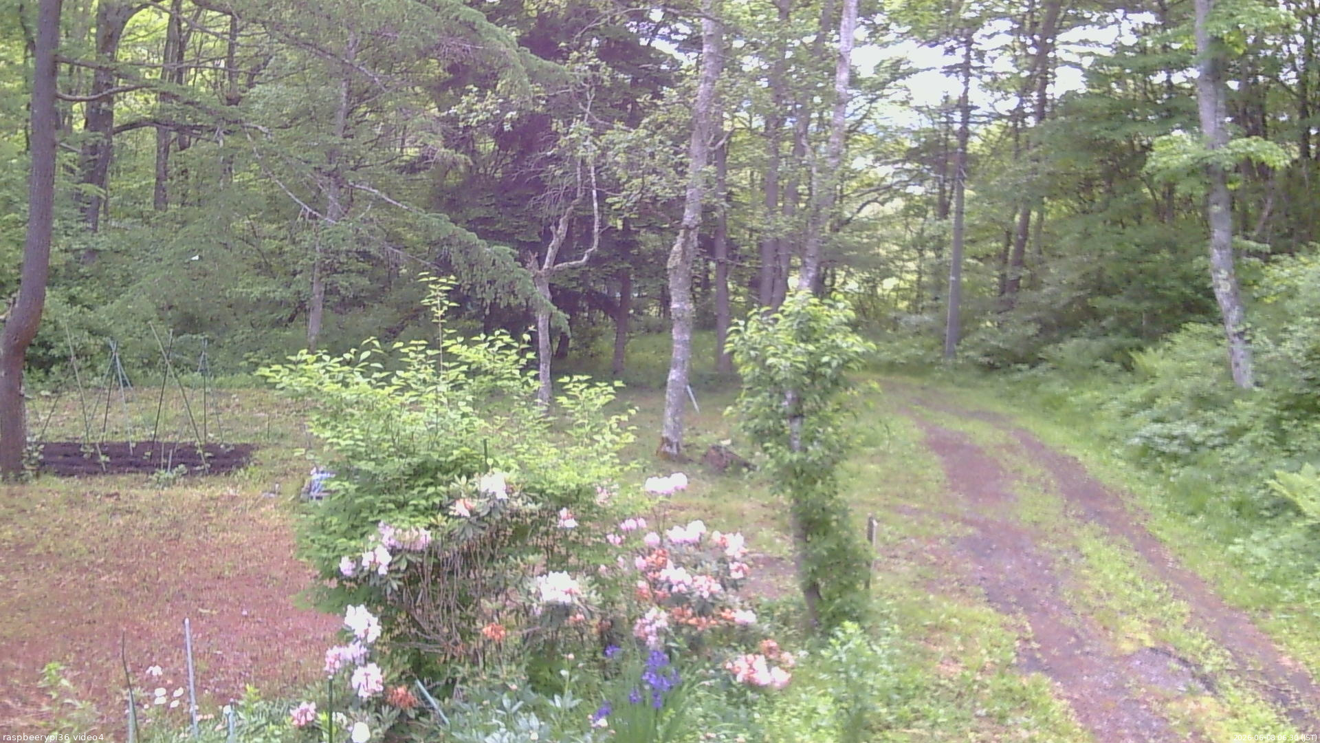 長野県菅平高原 ゆたか山荘 坂上 2026/06/08 06:30