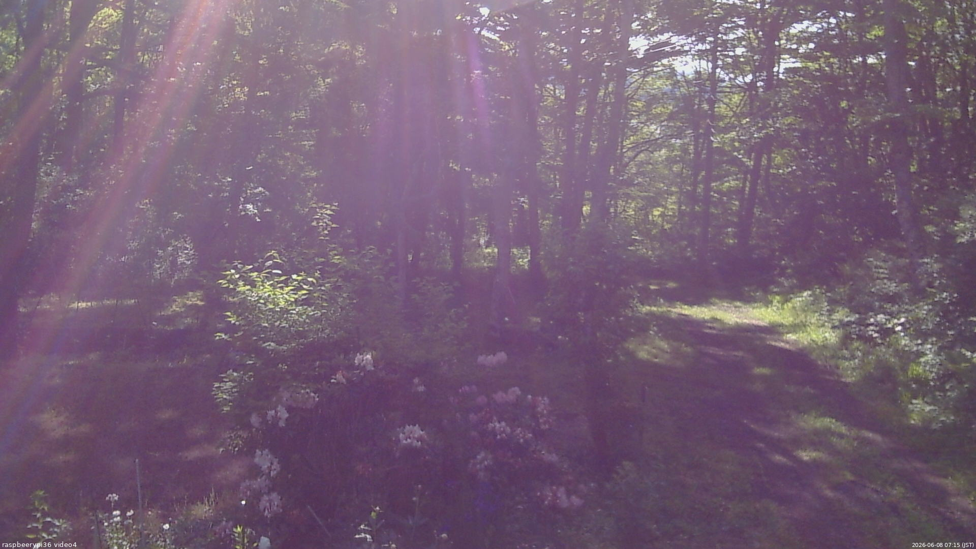 長野県菅平高原 ゆたか山荘 坂上 2026/06/08 07:15