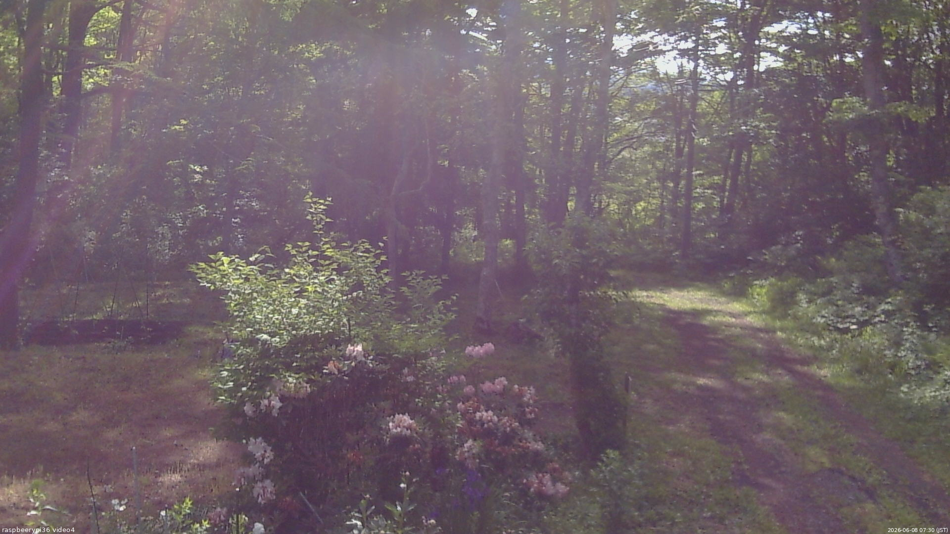 長野県菅平高原 ゆたか山荘 坂上 2026/06/08 07:30